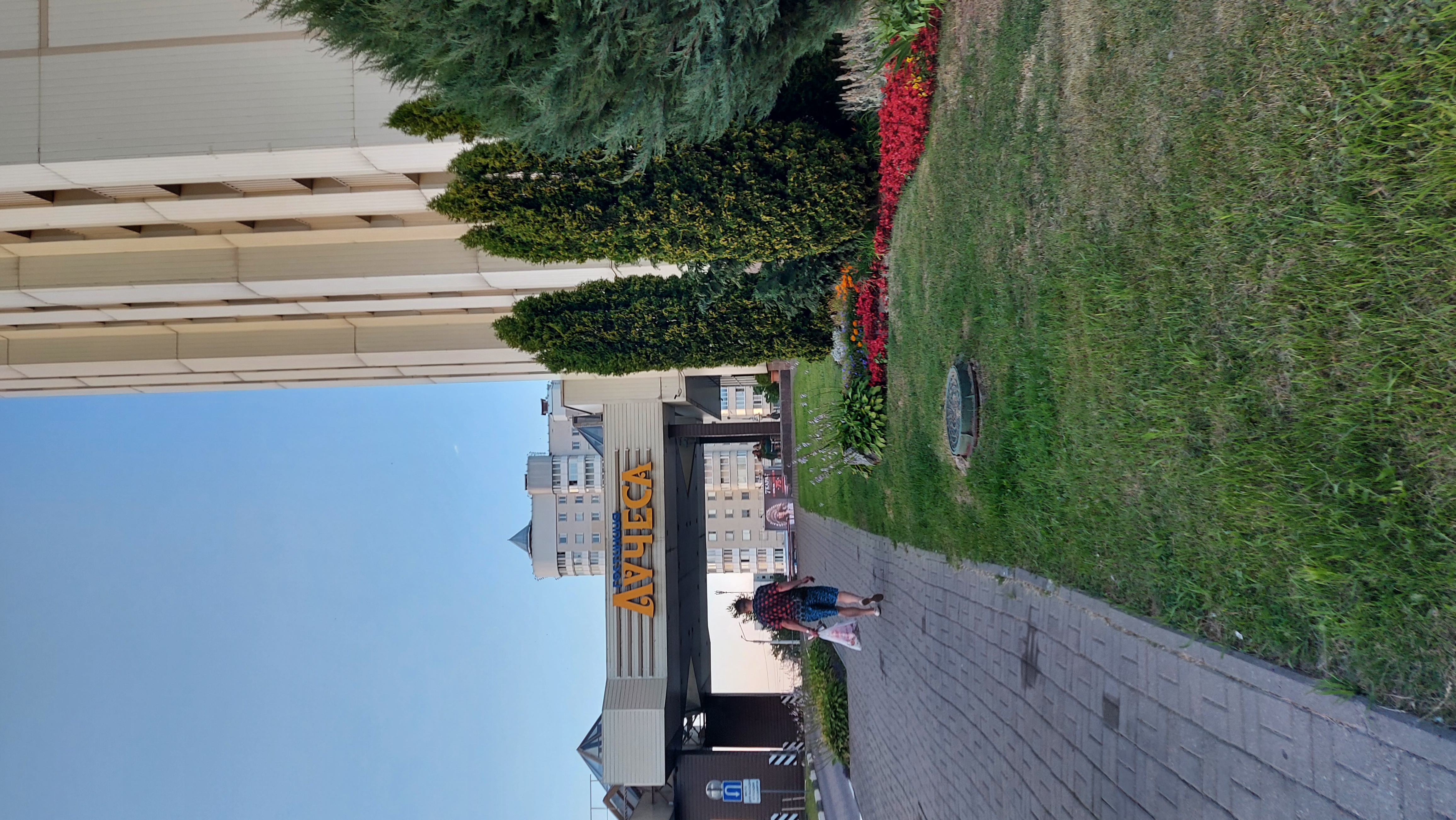 Фото Лучёса