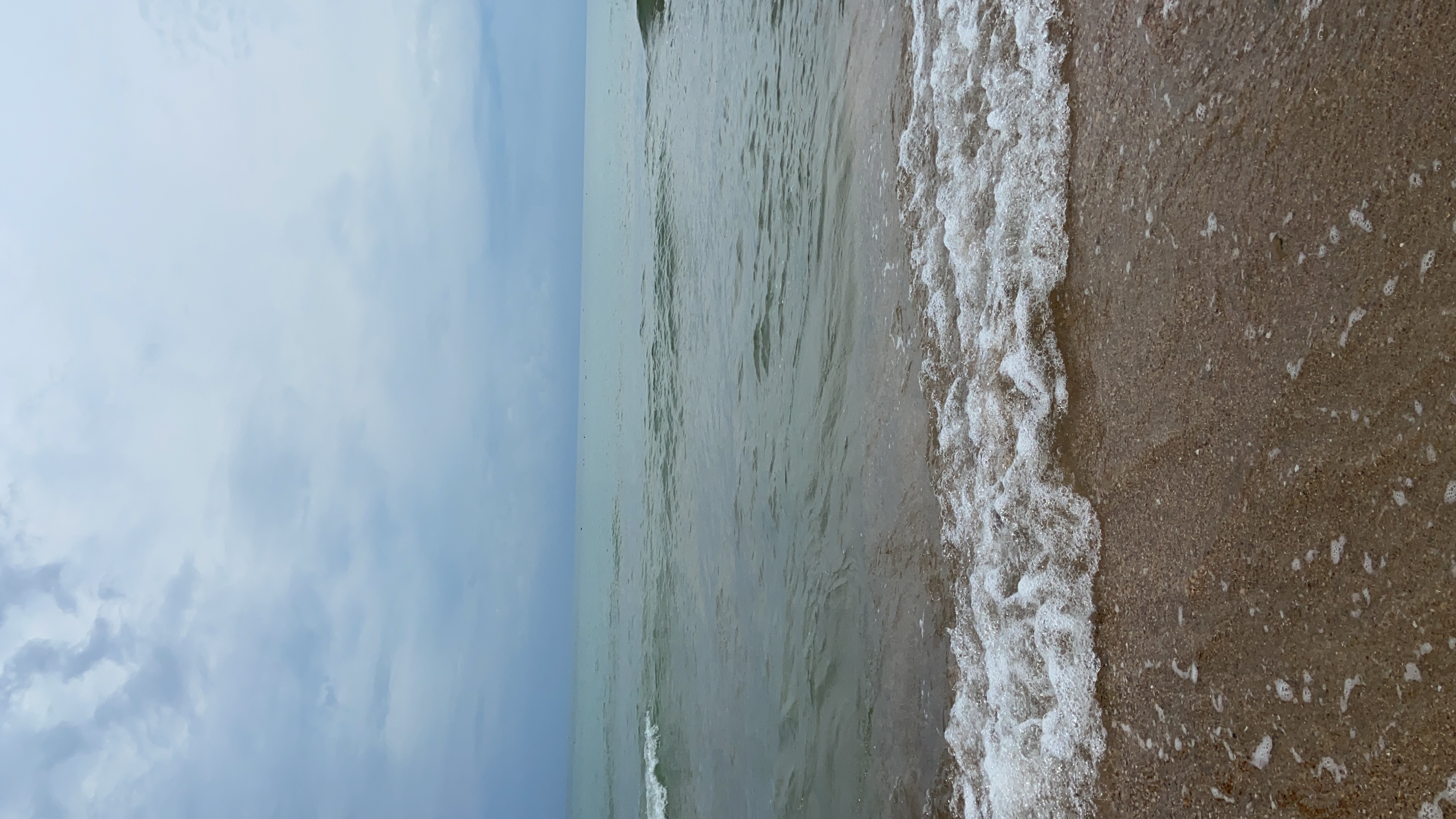 Фото Mango House