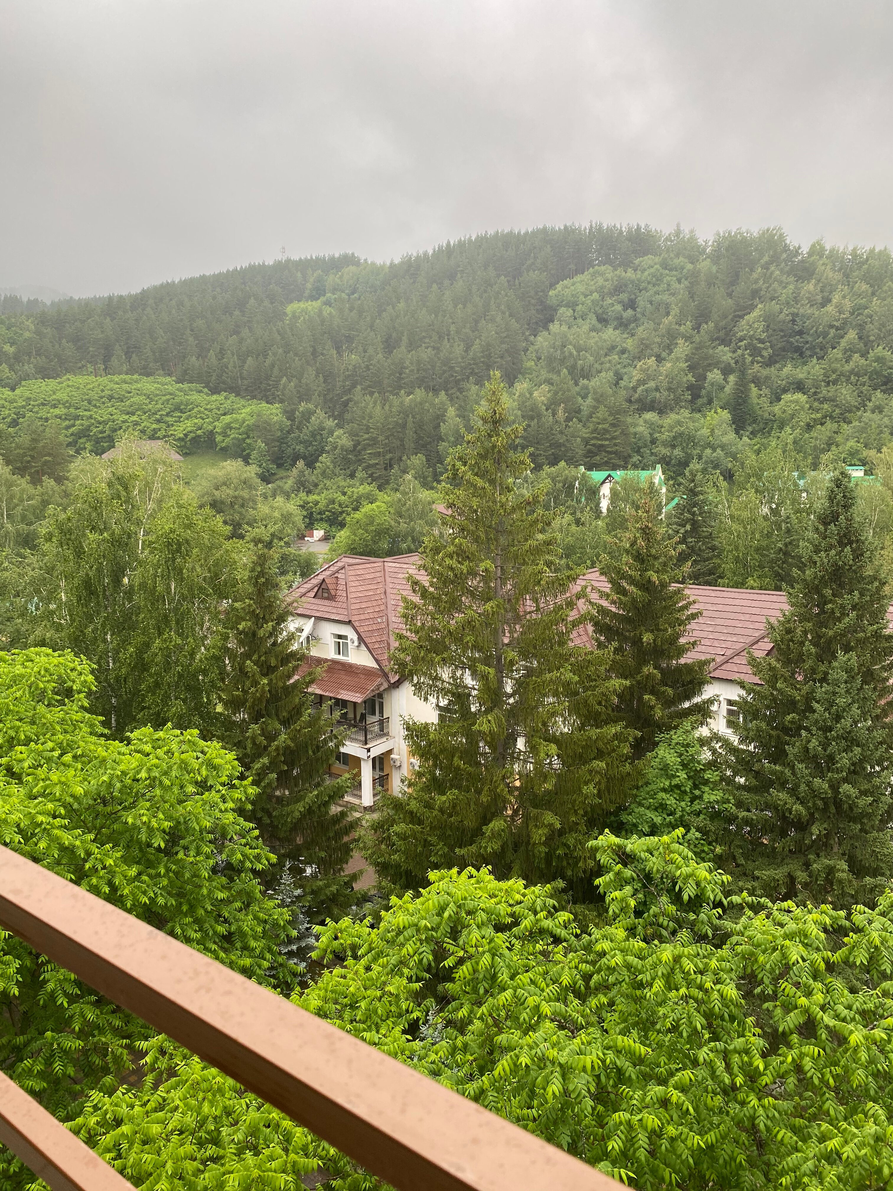 Фото Аврора