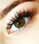 Lash Beautiful (ulitsa Novatorov, 1/1) ، شريط حاجب العين