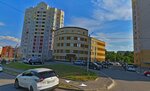 Golden Studio (Pushkarskaya ulitsa, 46), empresa de ti