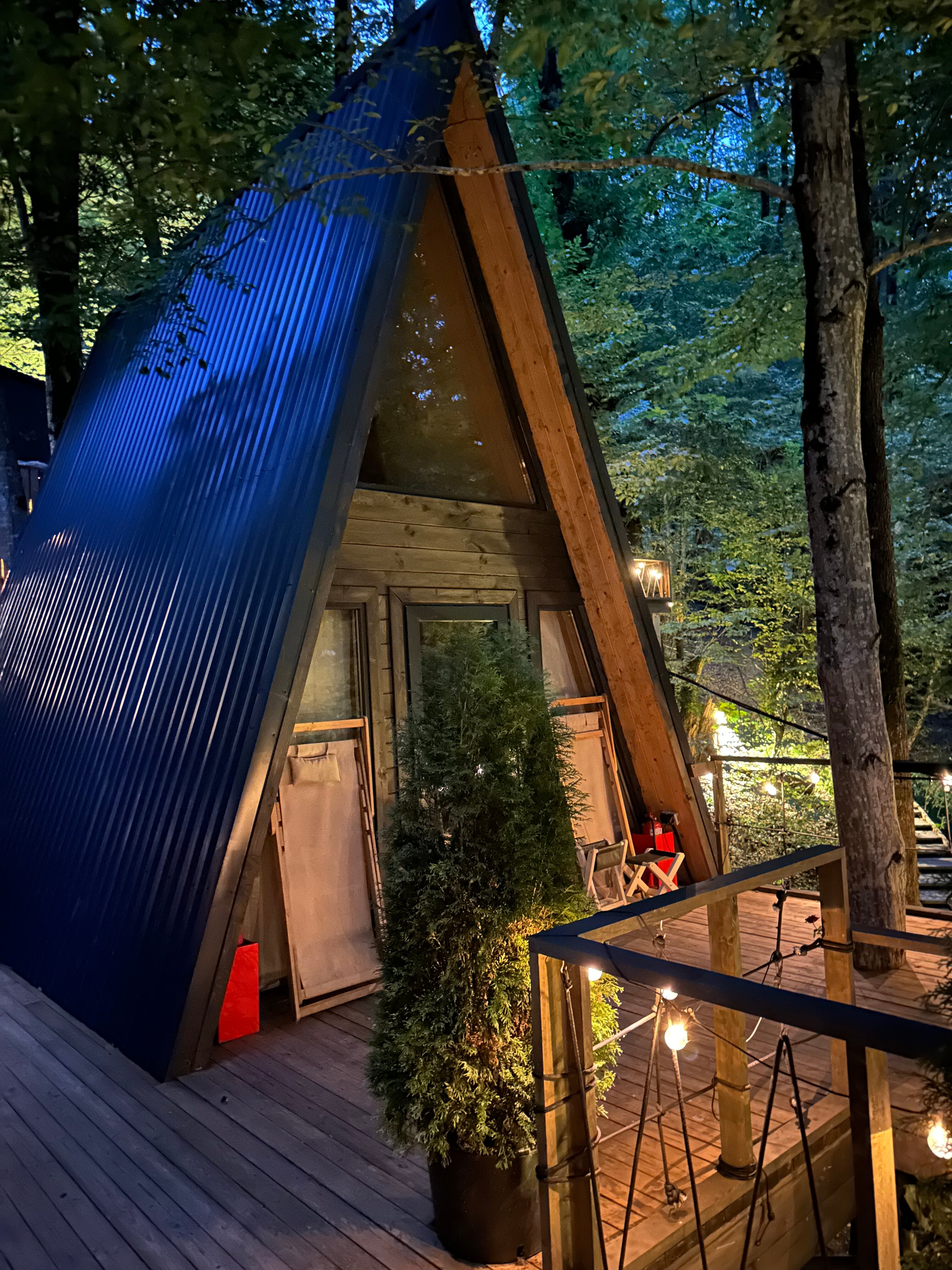 Фото Дзен Поляна