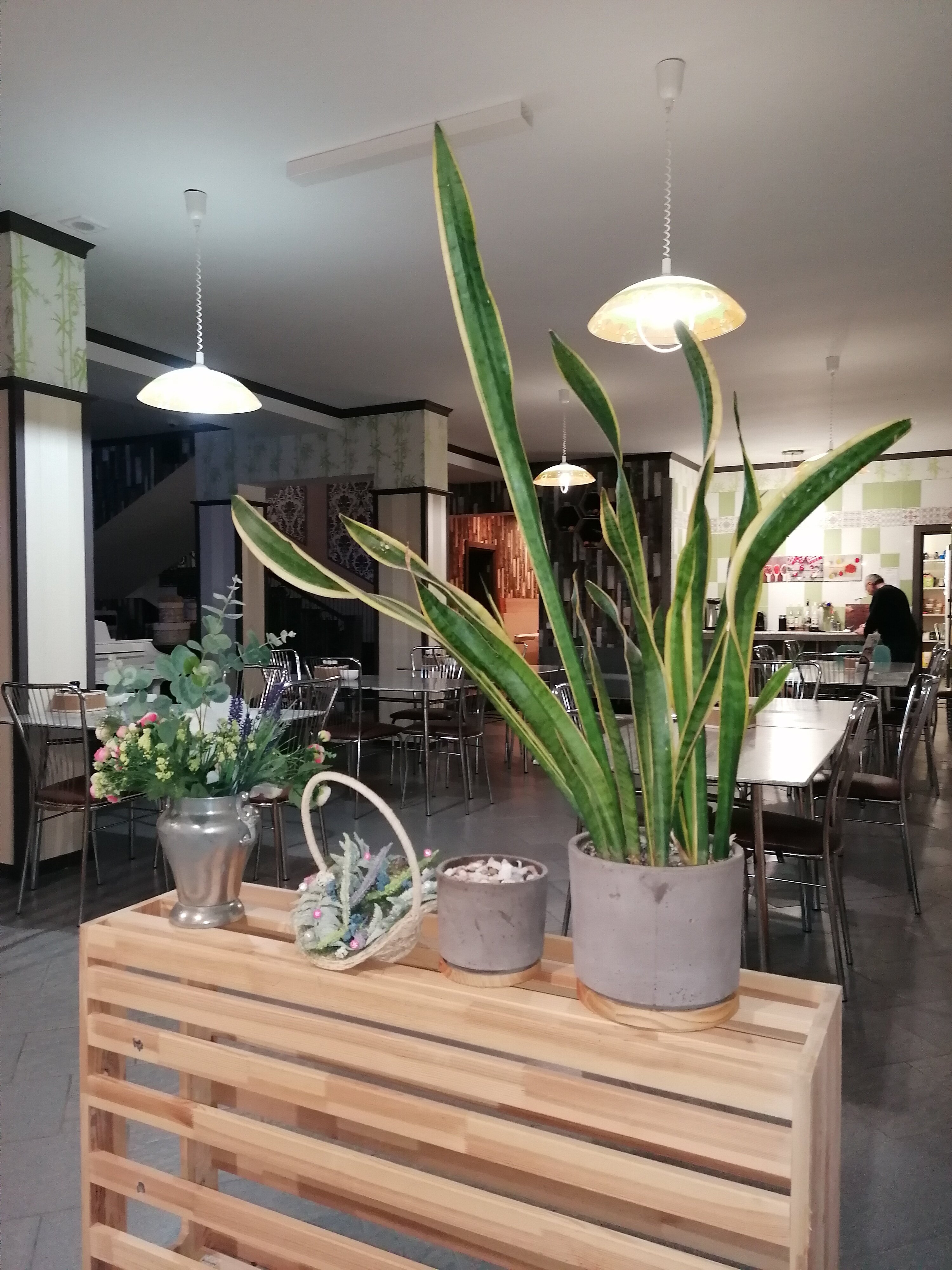 Фото Медово Хауз