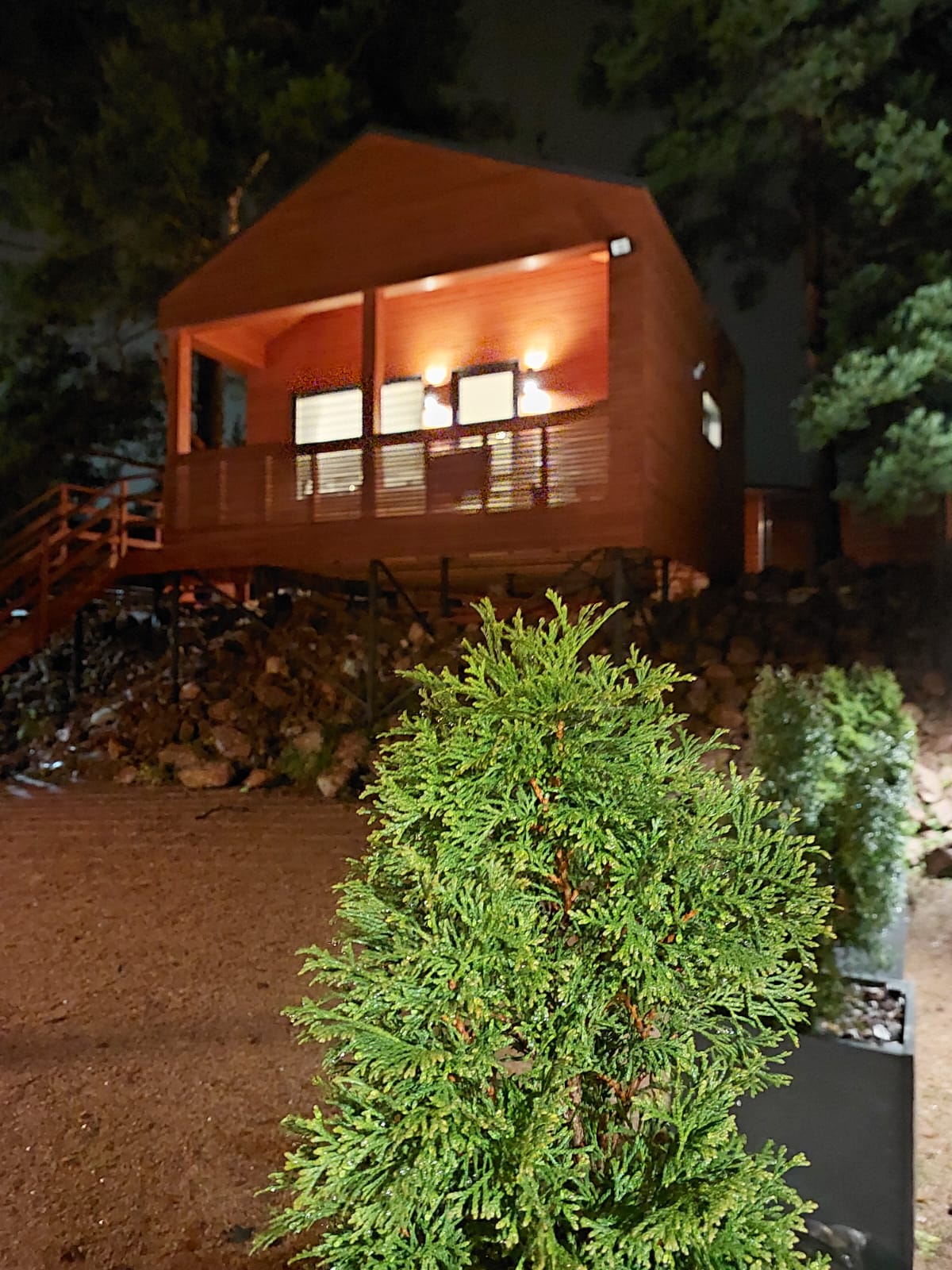 Фото Дом студия Forest deer