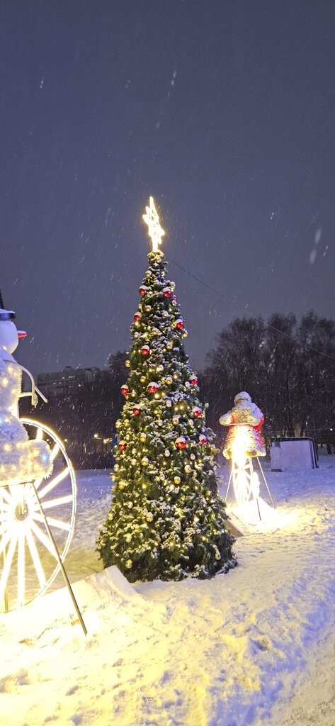 Городская ёлка Городская ёлка, Москва, фото