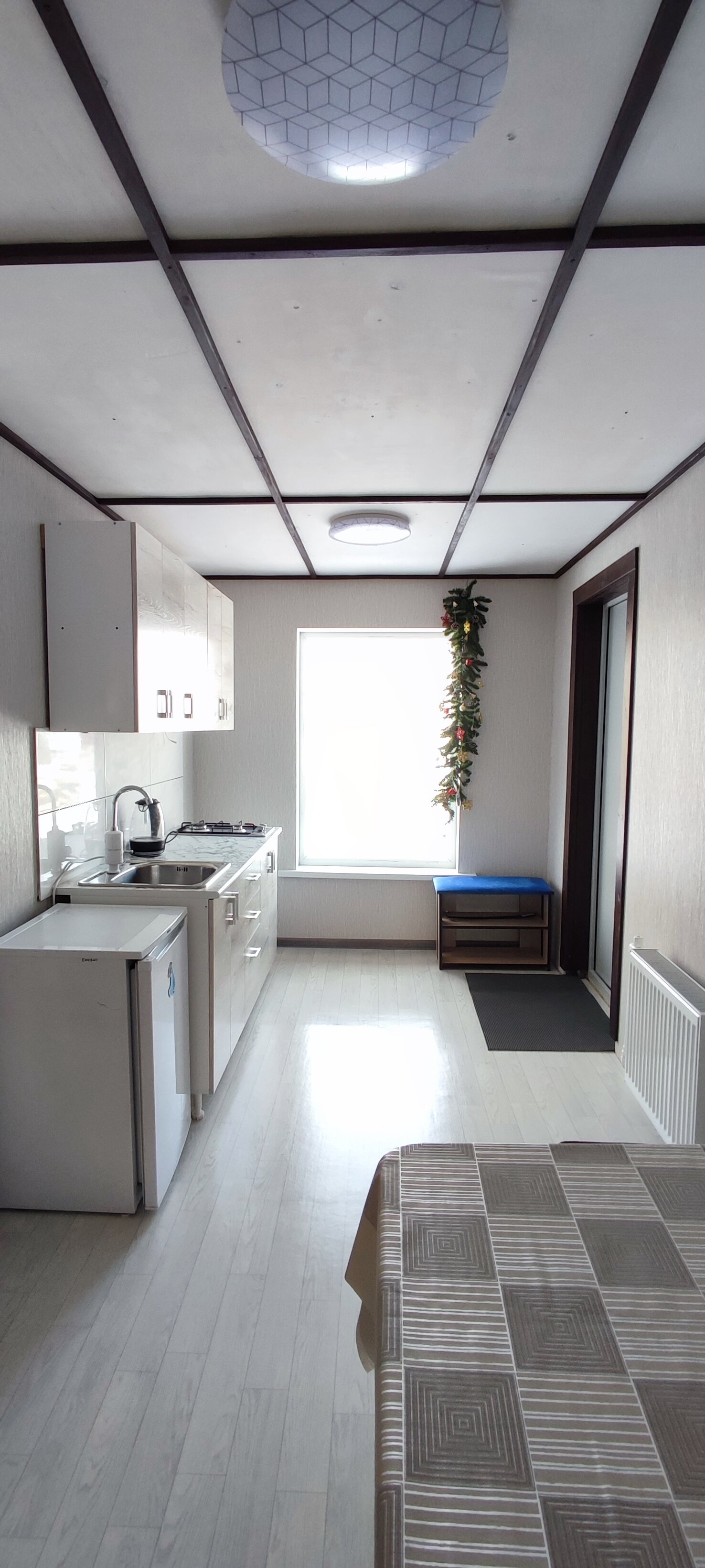 Фото Дикий Еж