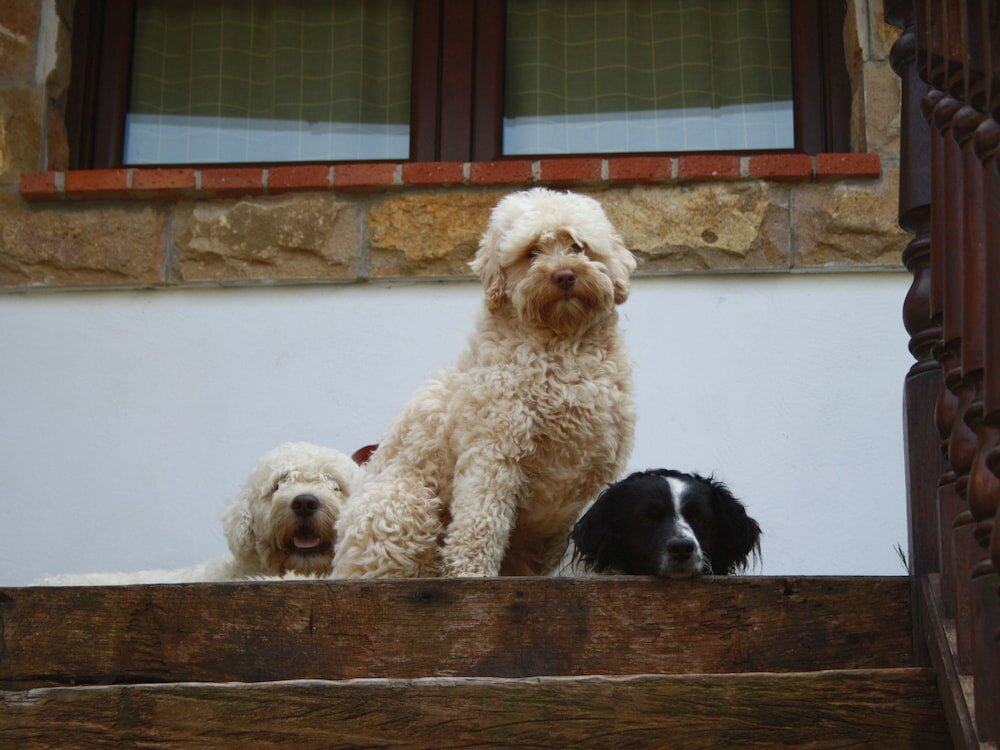 Фото Casas Rurales El Terrero