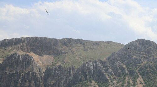 Гостиница Отель Euphrat Nemrut в Батталгази