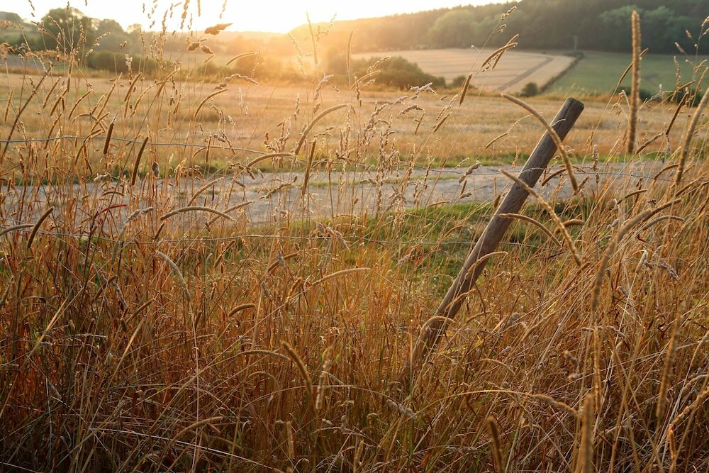 Фото Hotel Vedette