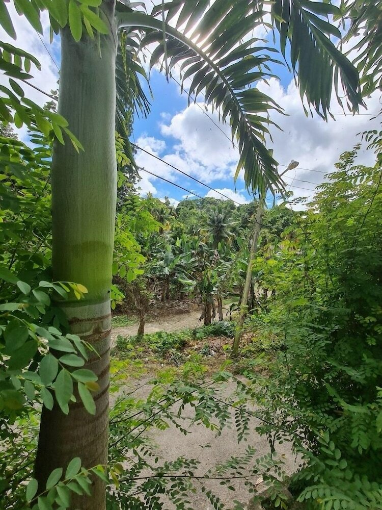 Фото Xpress Vacations Lifestyle