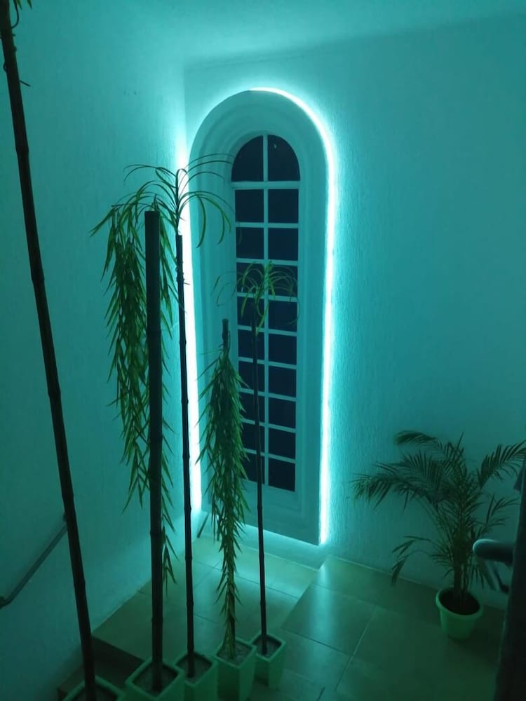 Фото Bango Mango Hostel