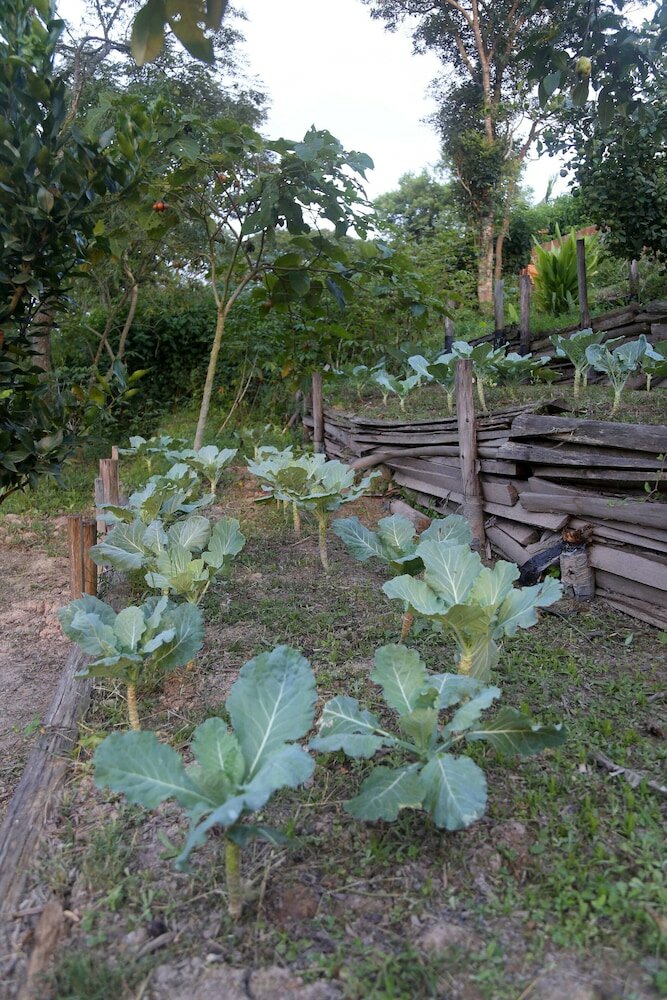 Фото Chácara Kumbaya