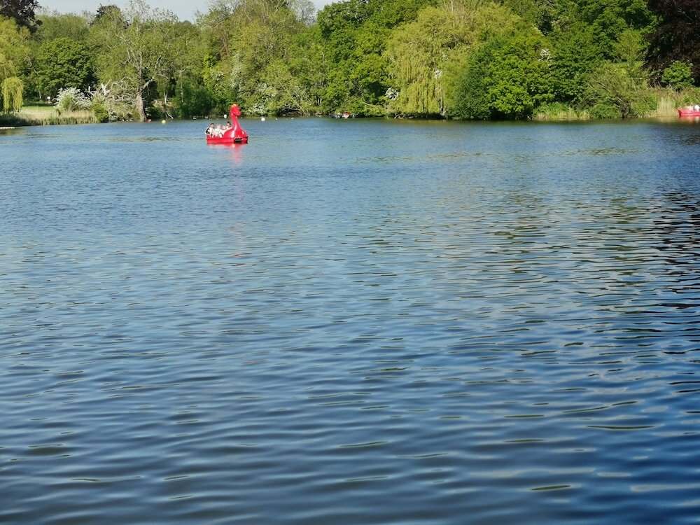 Фото Langley Haven