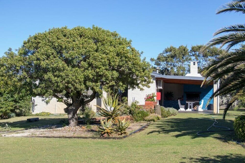 Фото Groeneweide