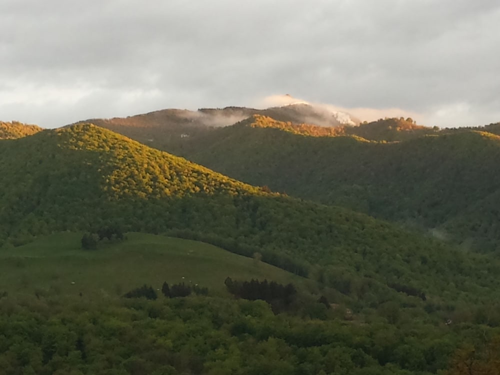 Фото Il Rondanino Hotel Ristorante