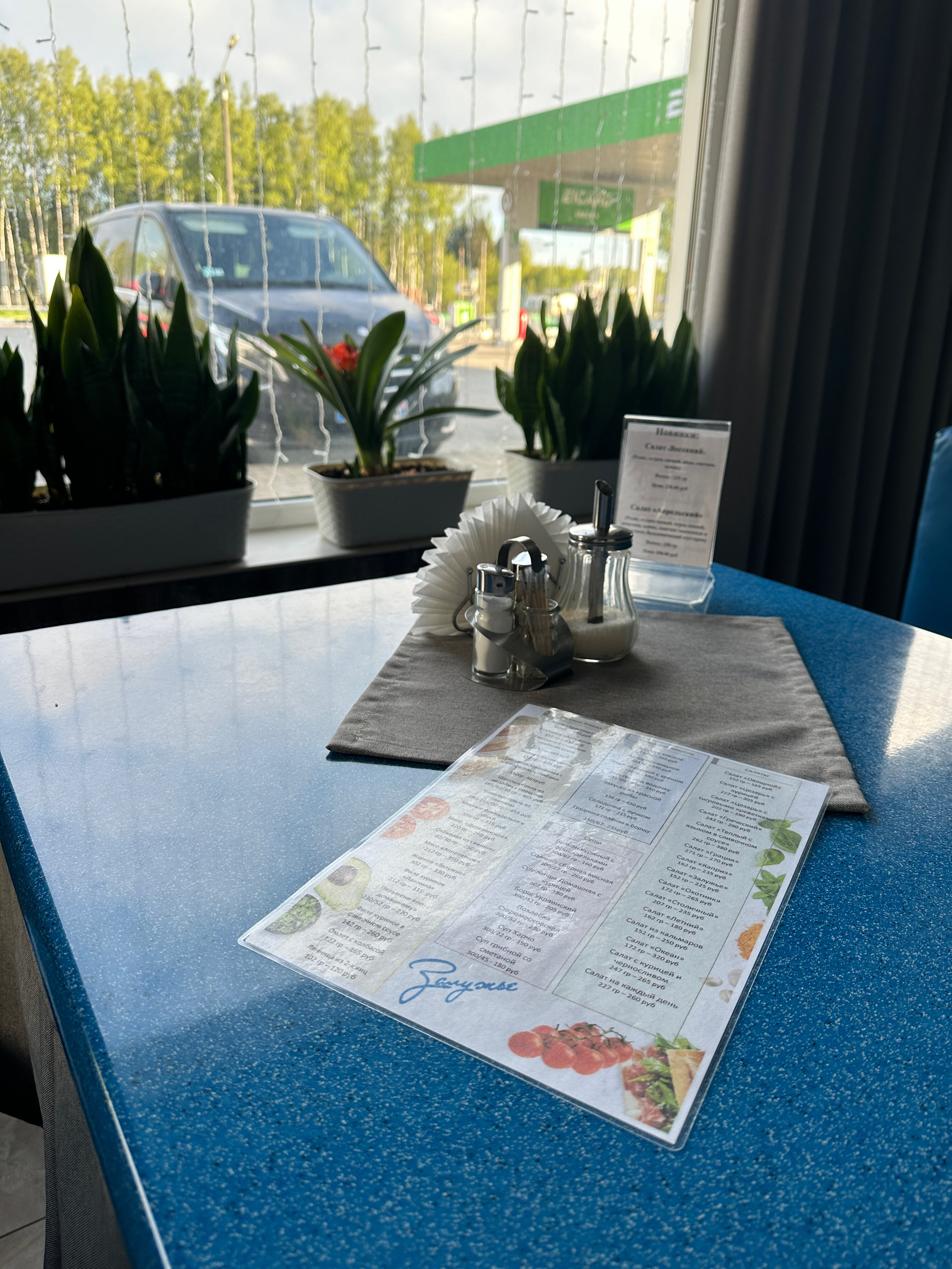 Фото Залужье 365