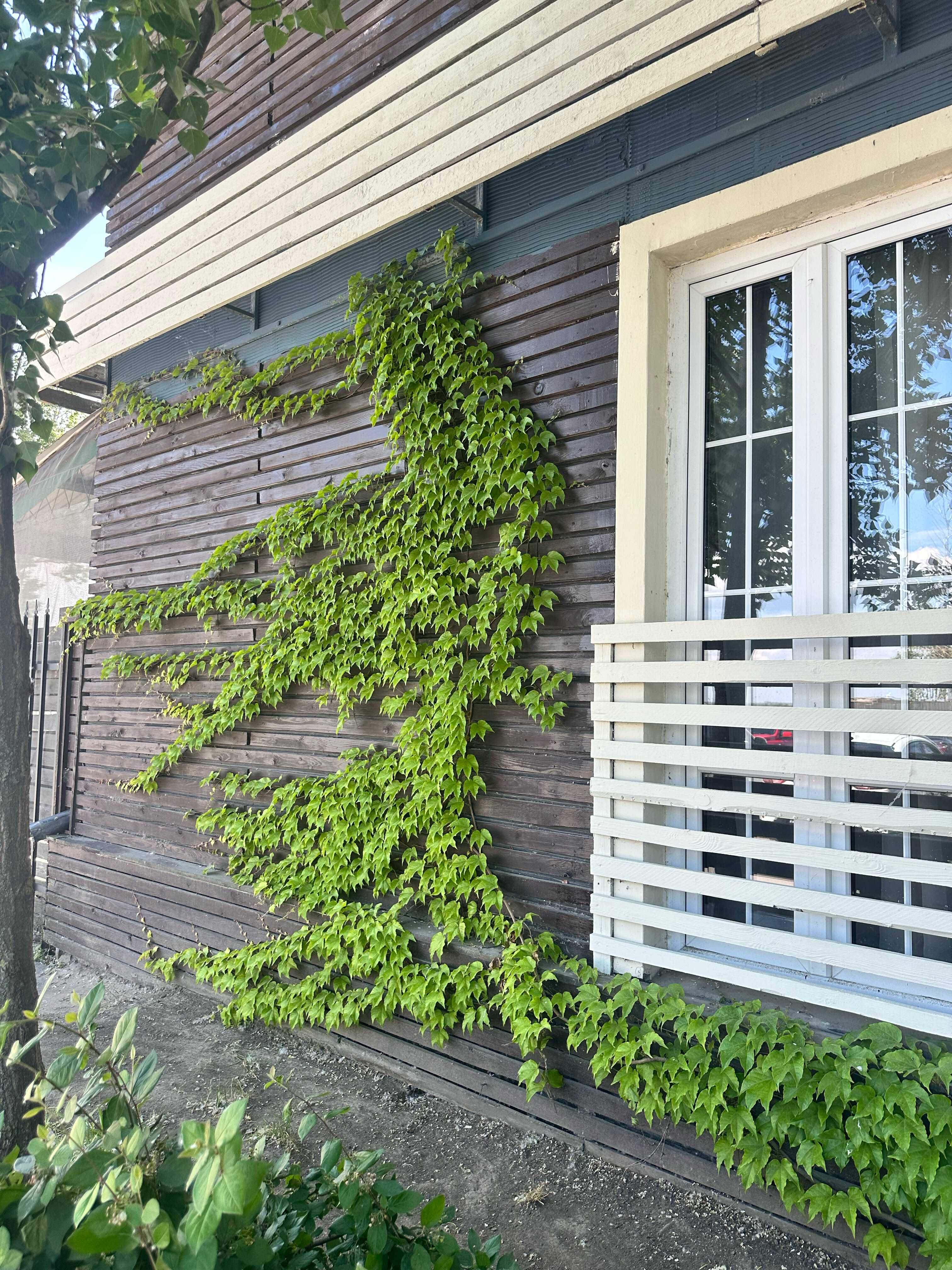 Фото Гринвич Парк Отель