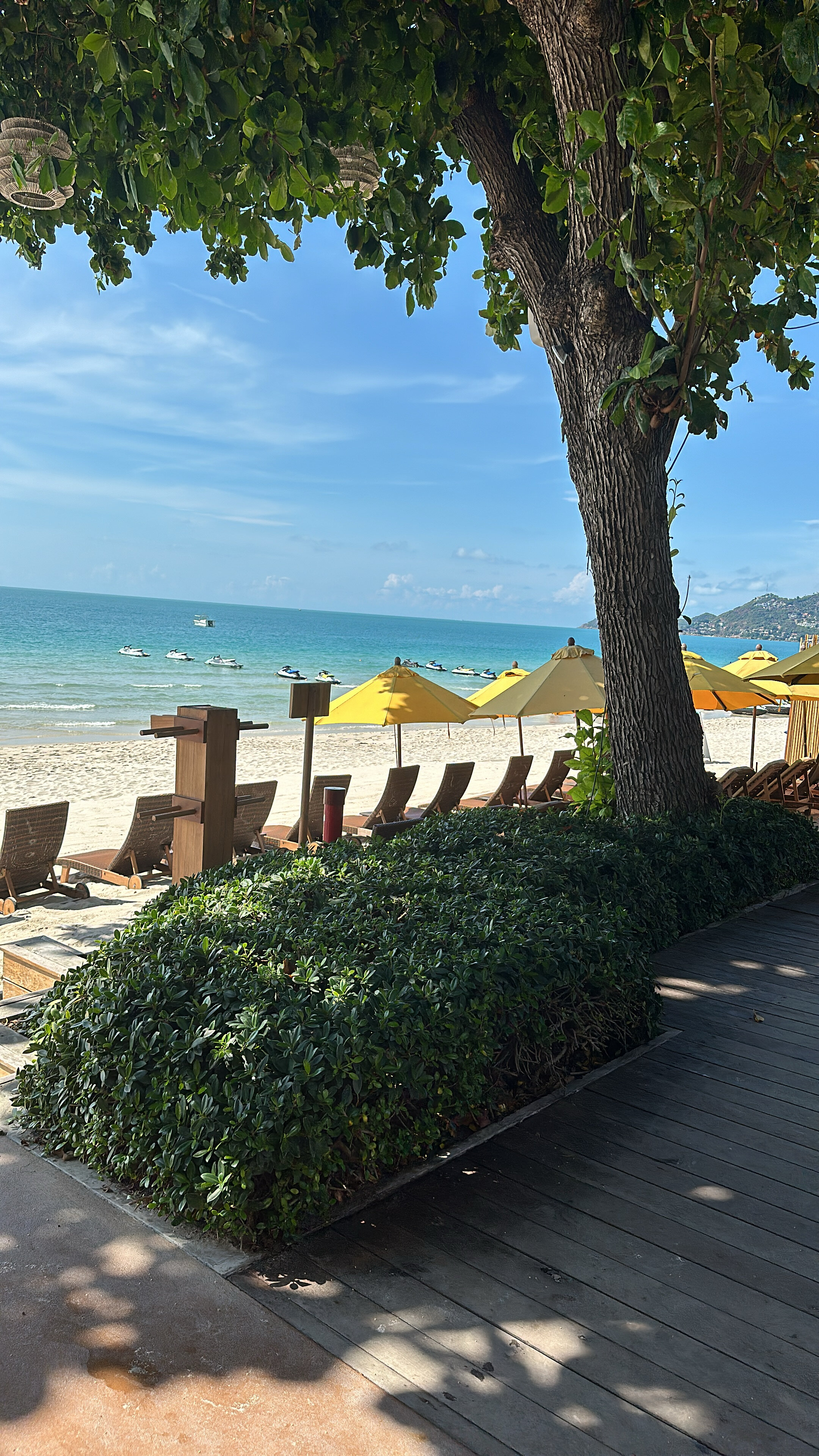 Фото Buri Rasa Village Samui