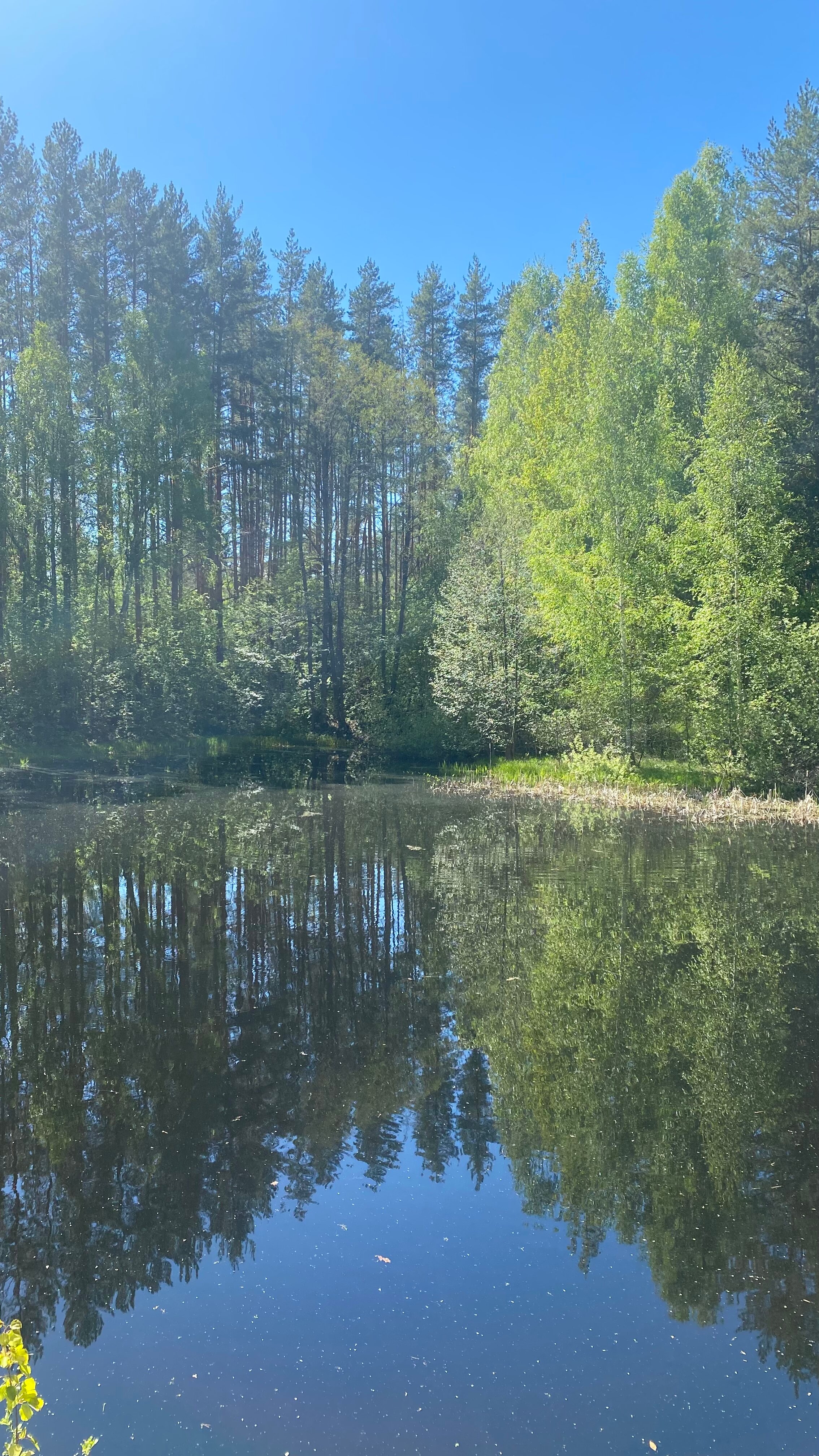 Фото Спутник