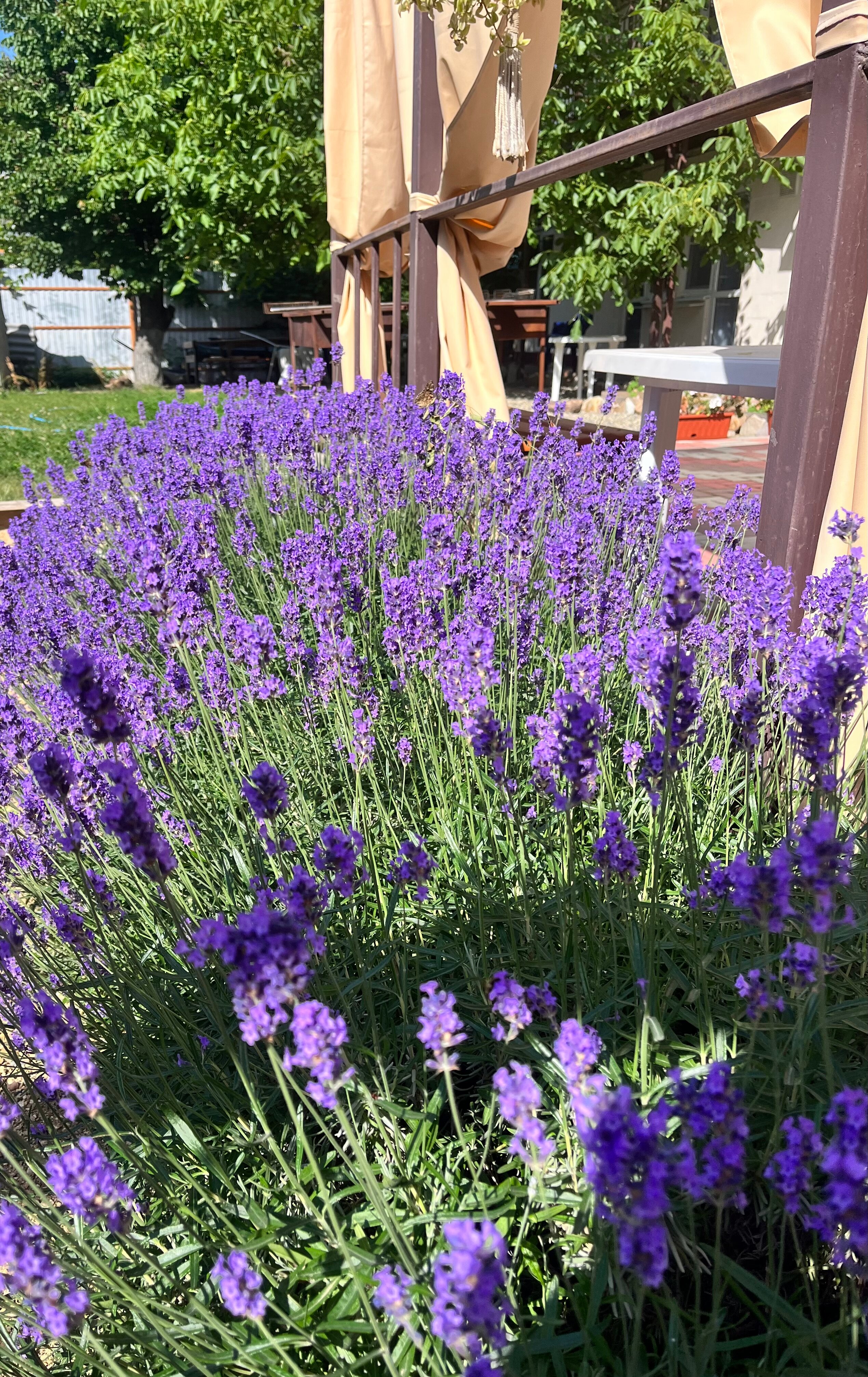 Фото Дача у моря