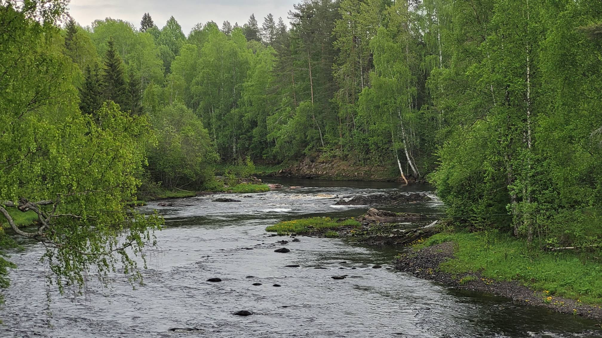 Фото Пяльма