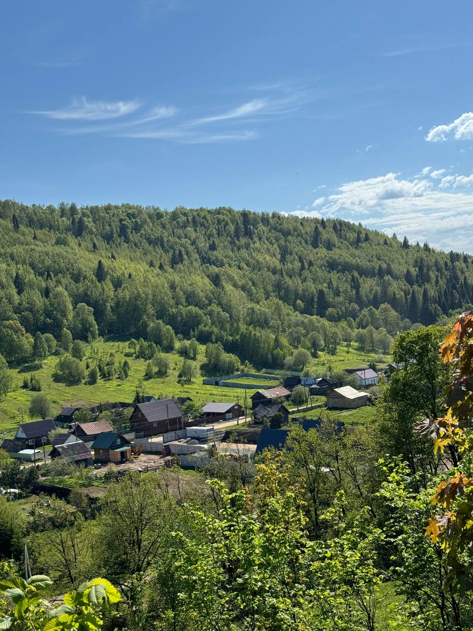 Фото Берег Сарвы