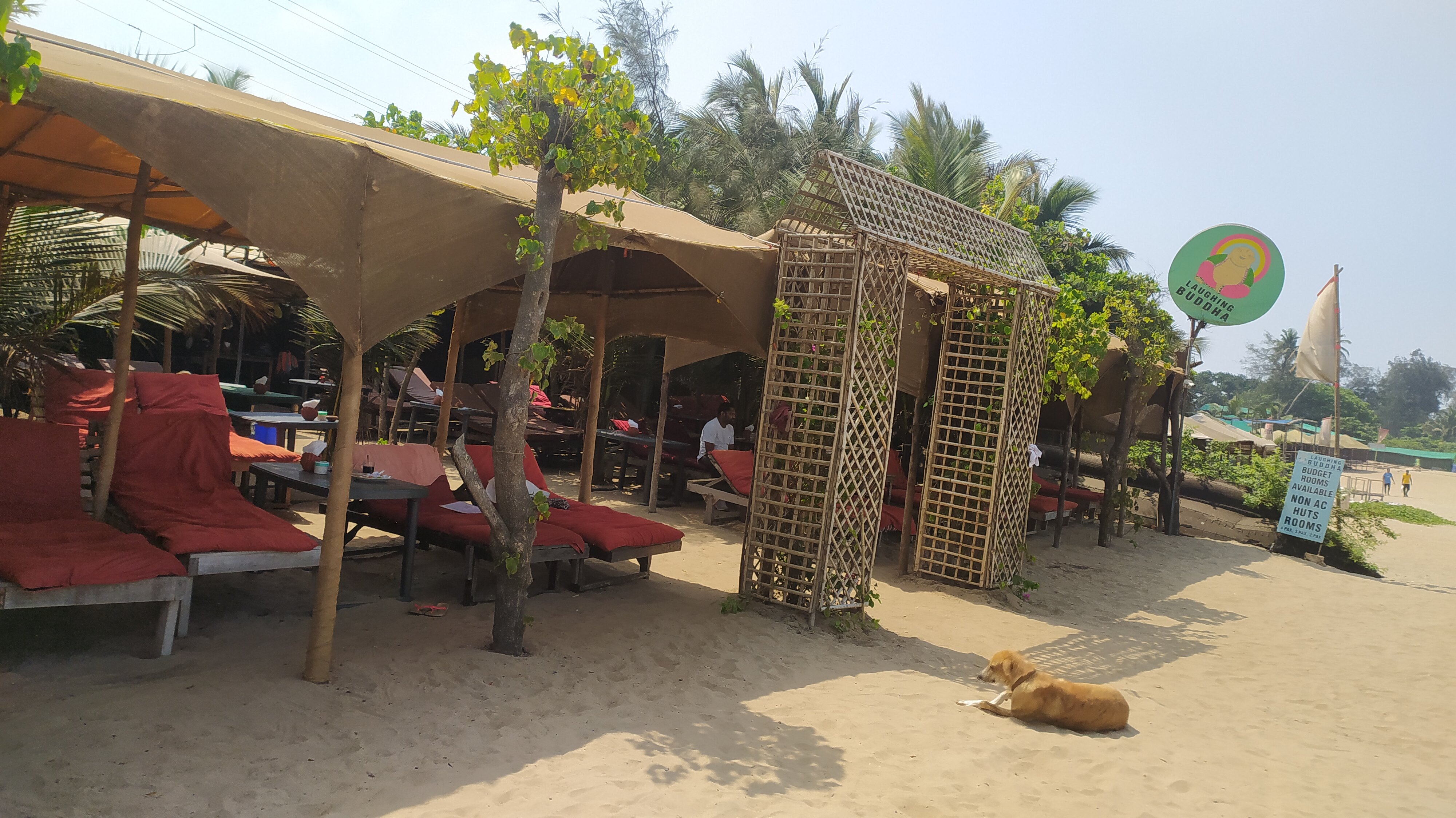 Фото Lotus Sutra