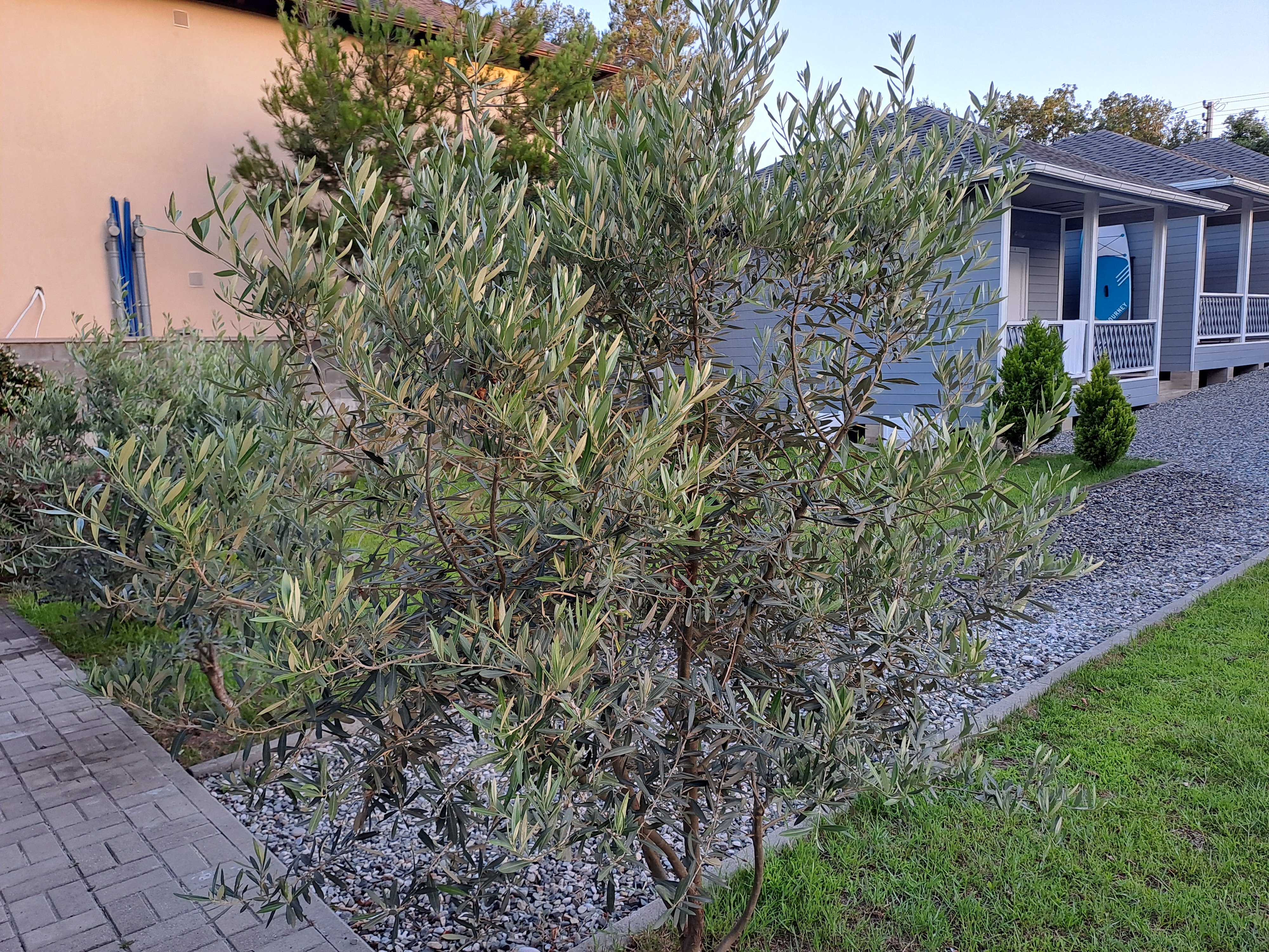 Фото 18755341514