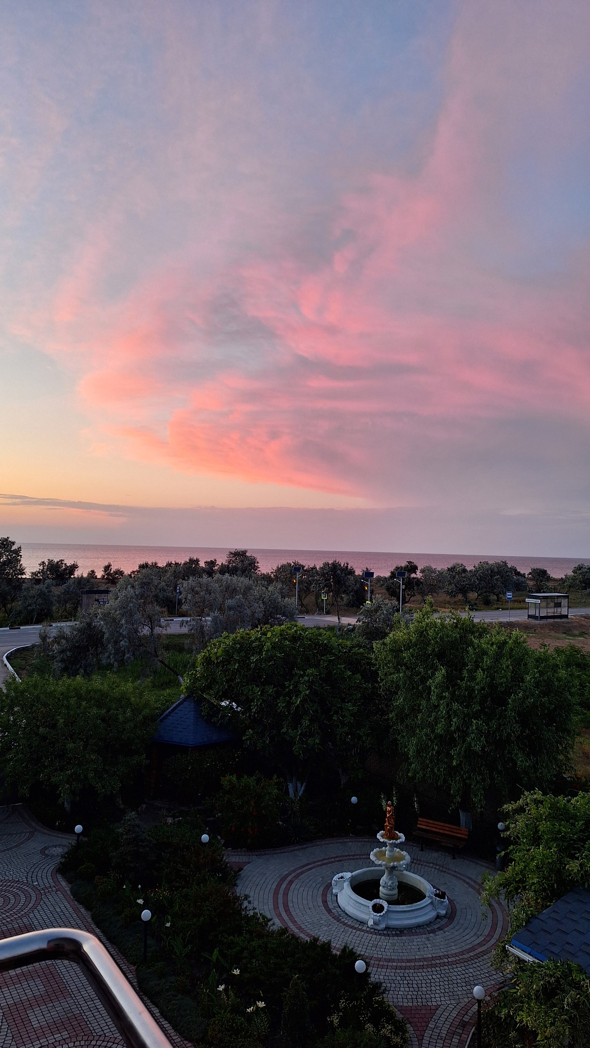 Фото Альбатрос