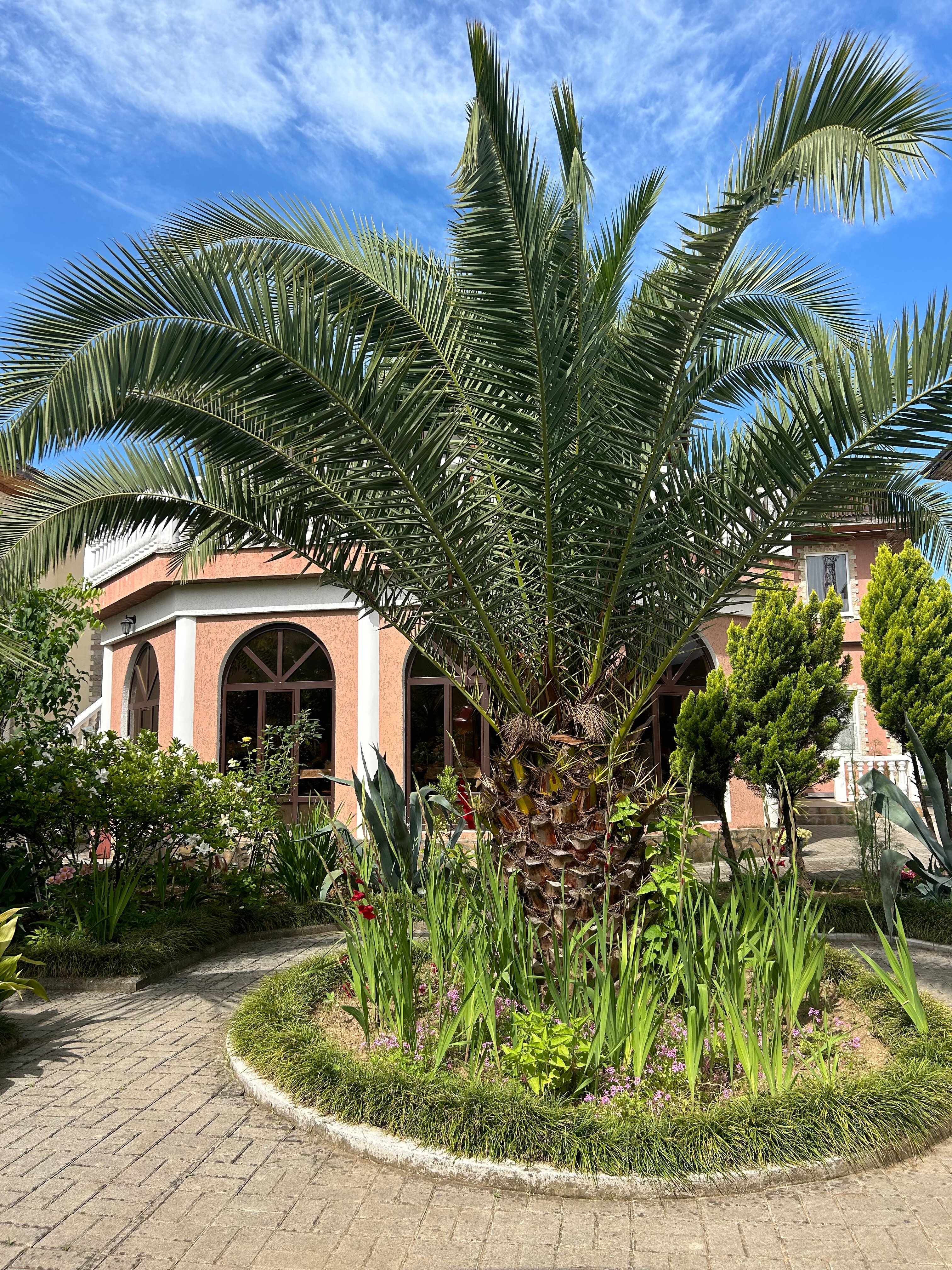 Фото Дени Дельмар