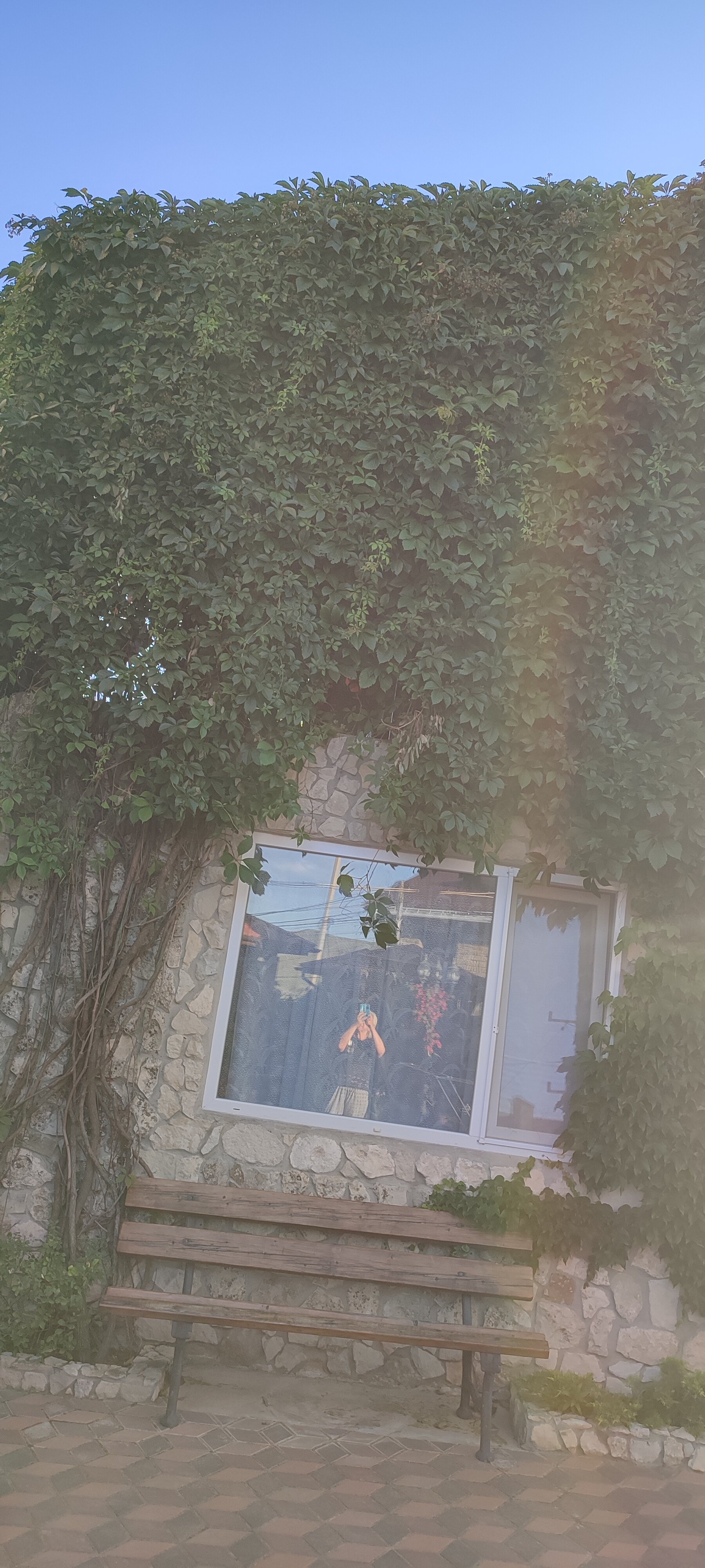 Фото Сапсан