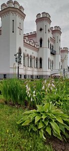 Дворец Пусловских (Bresckaja voblasć, Ivacevicki District, Kvasievicki Rural Council, 14), museum