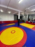 На татами (Gagarina Microdistrict, 30), sports club