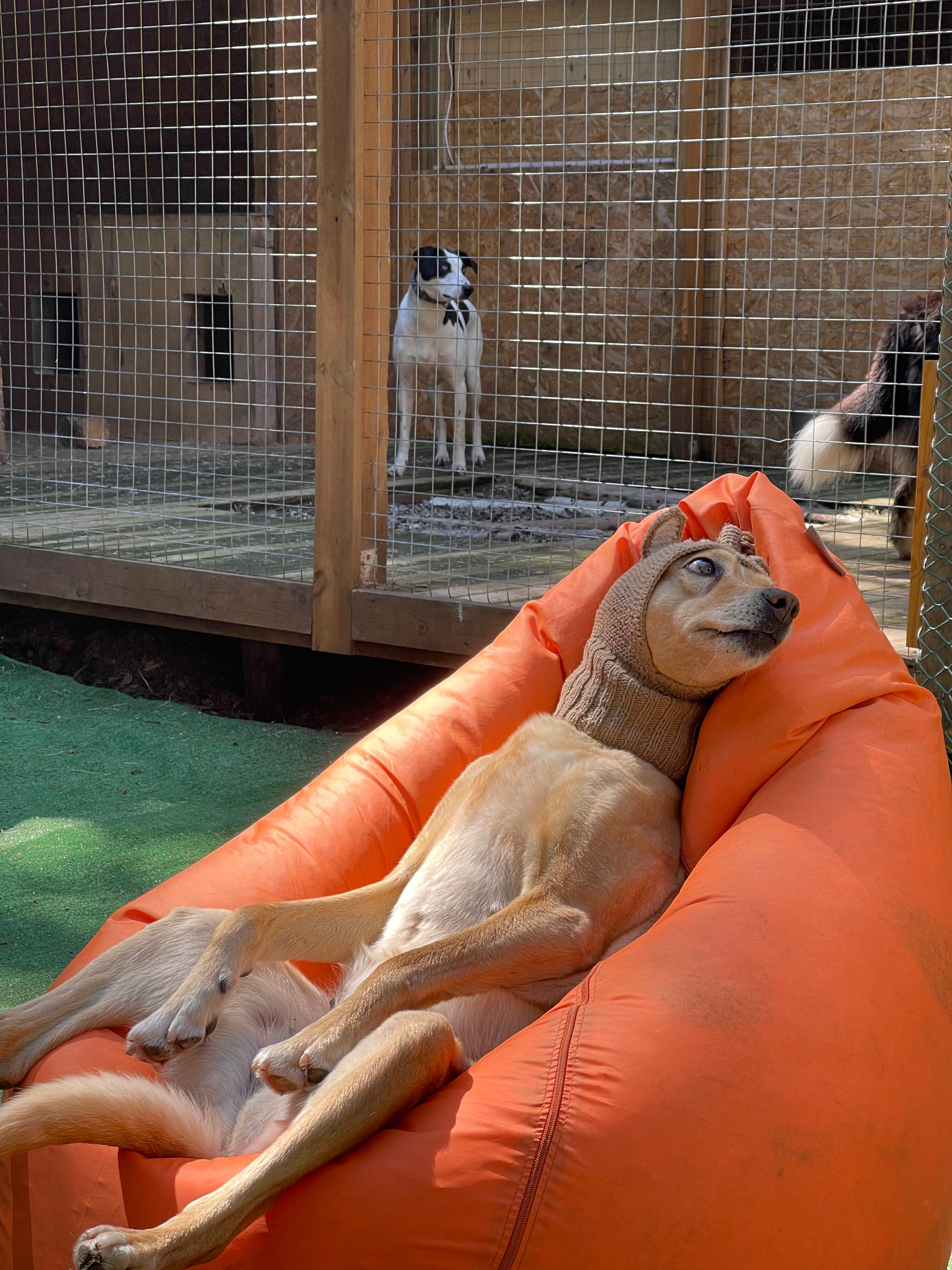 Фото Полярный круг