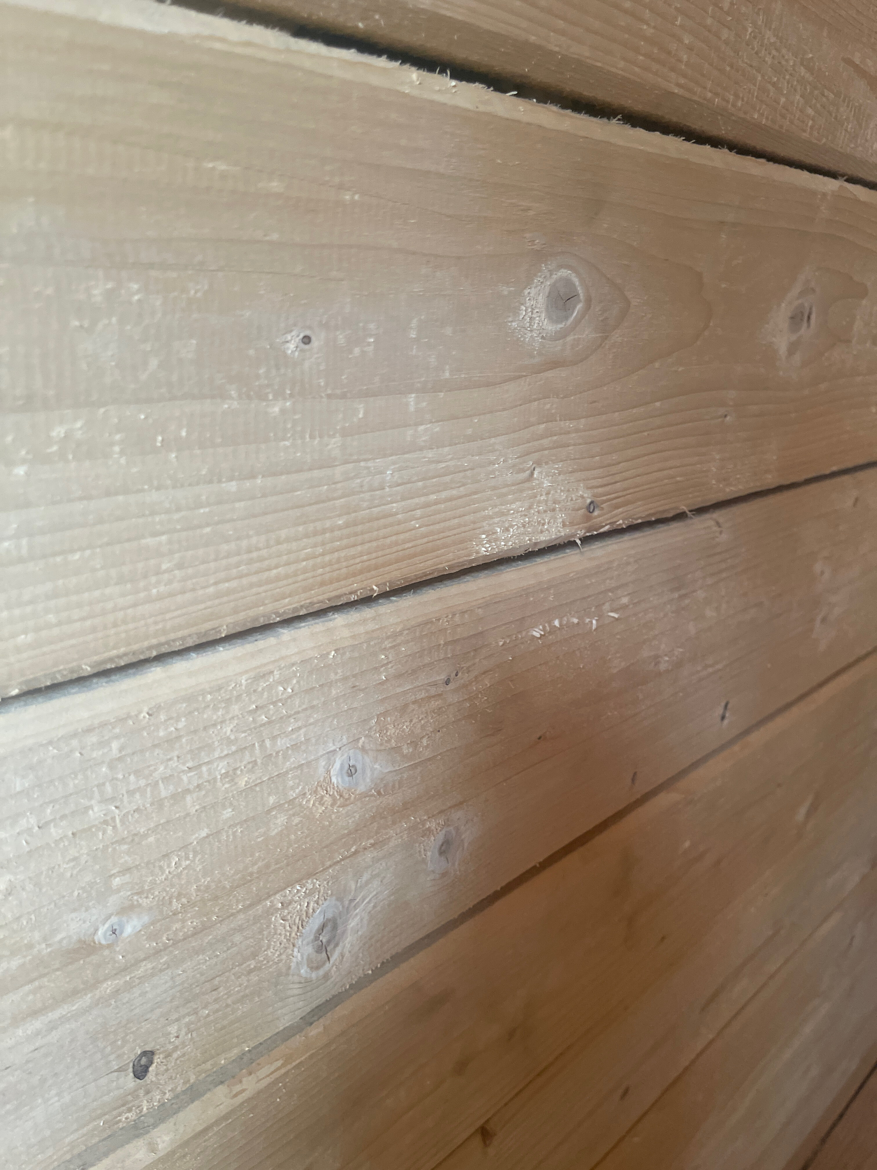 Фото Сила Сибири Акташ