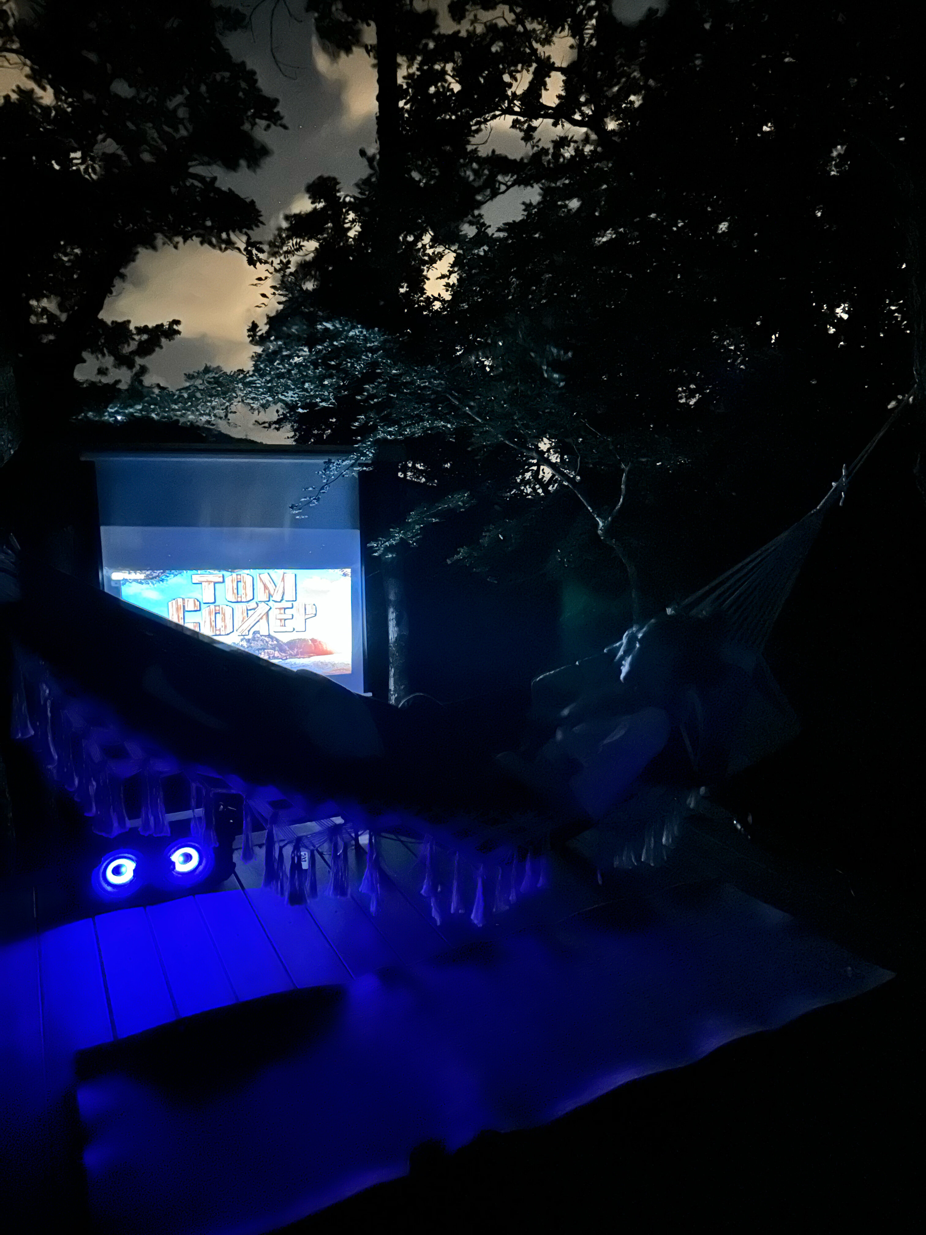 Фото Горный Енот