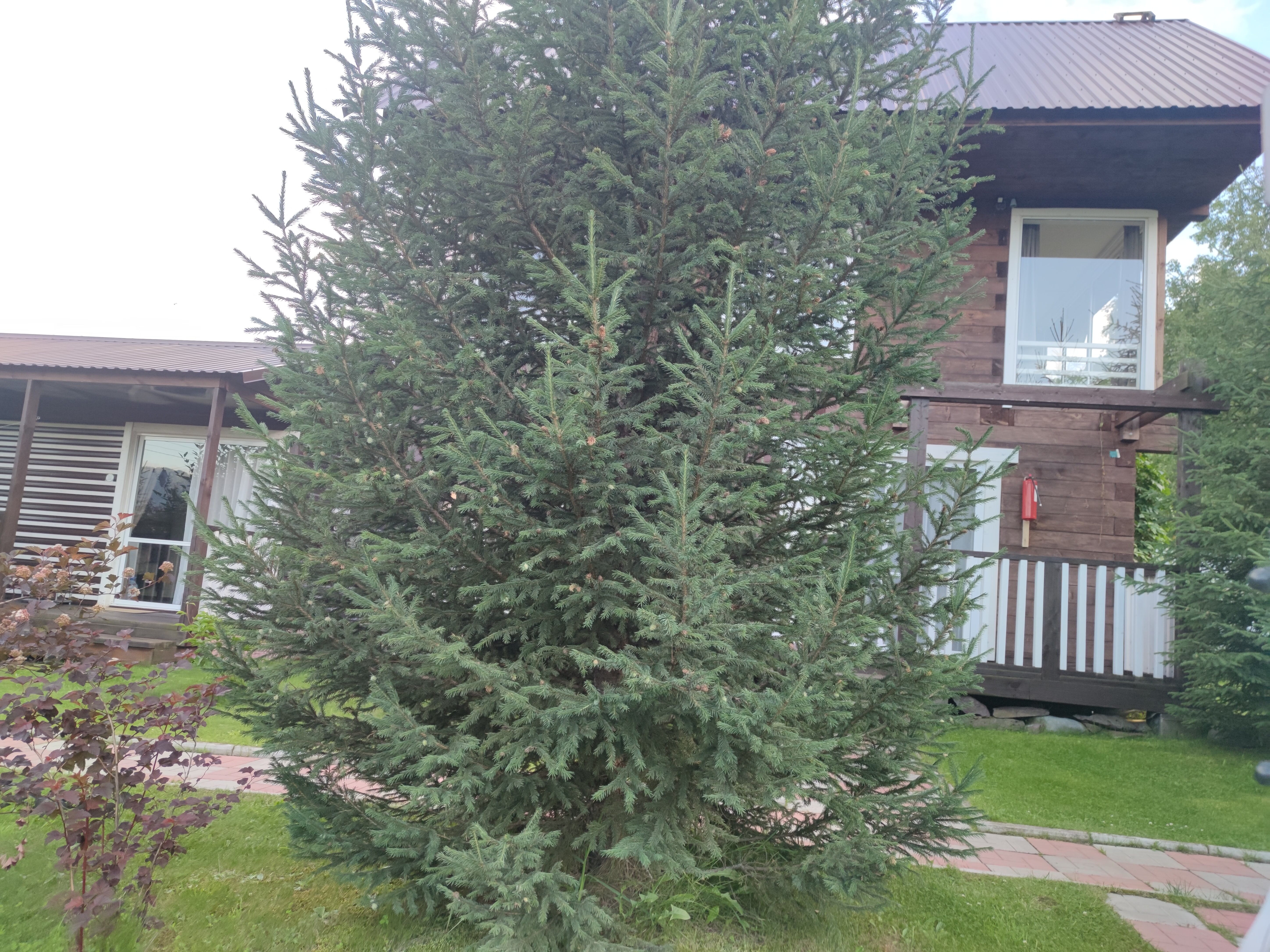 Фото Чемал-Ра