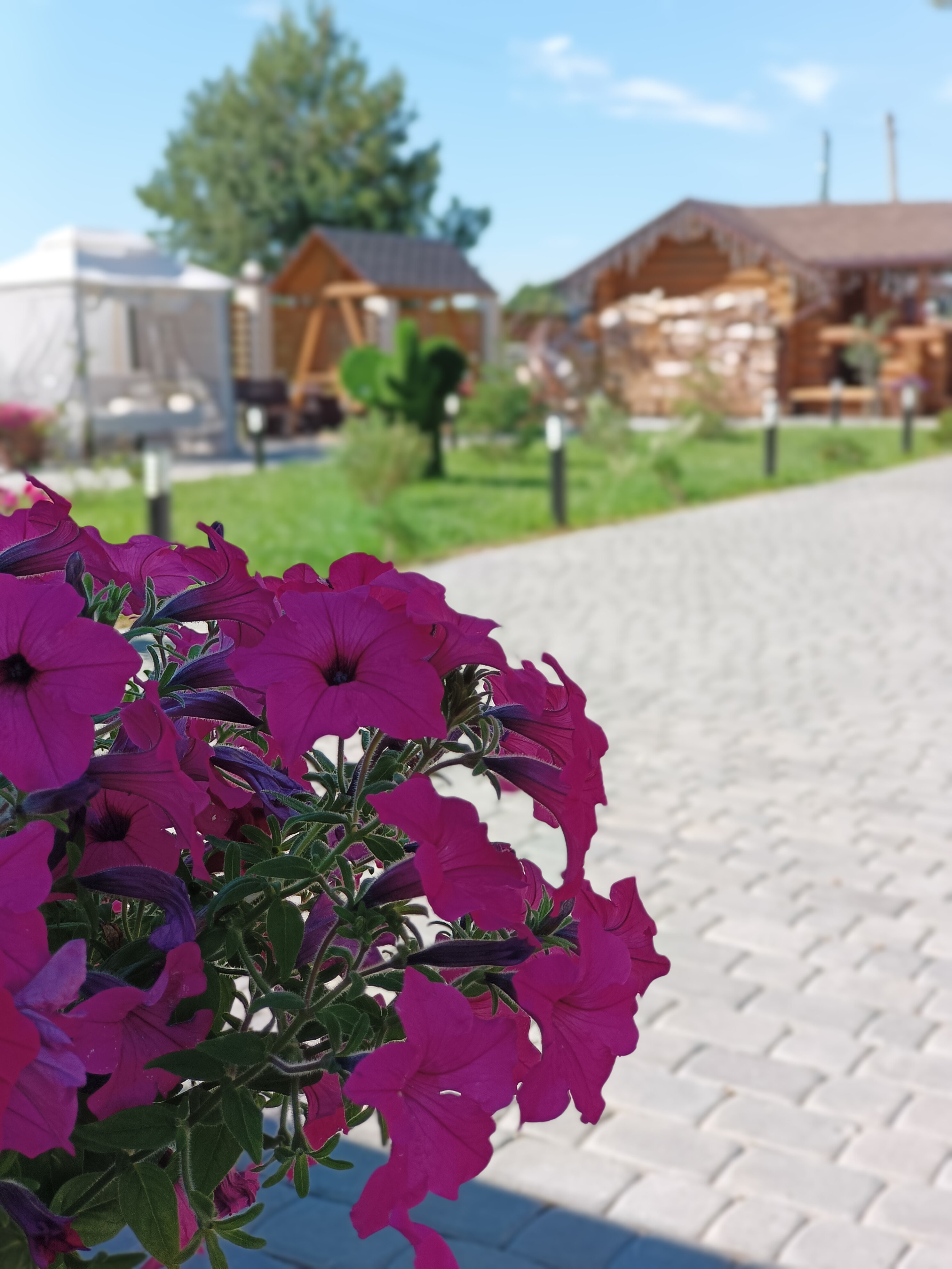 Фото Эко-отель Мордасово