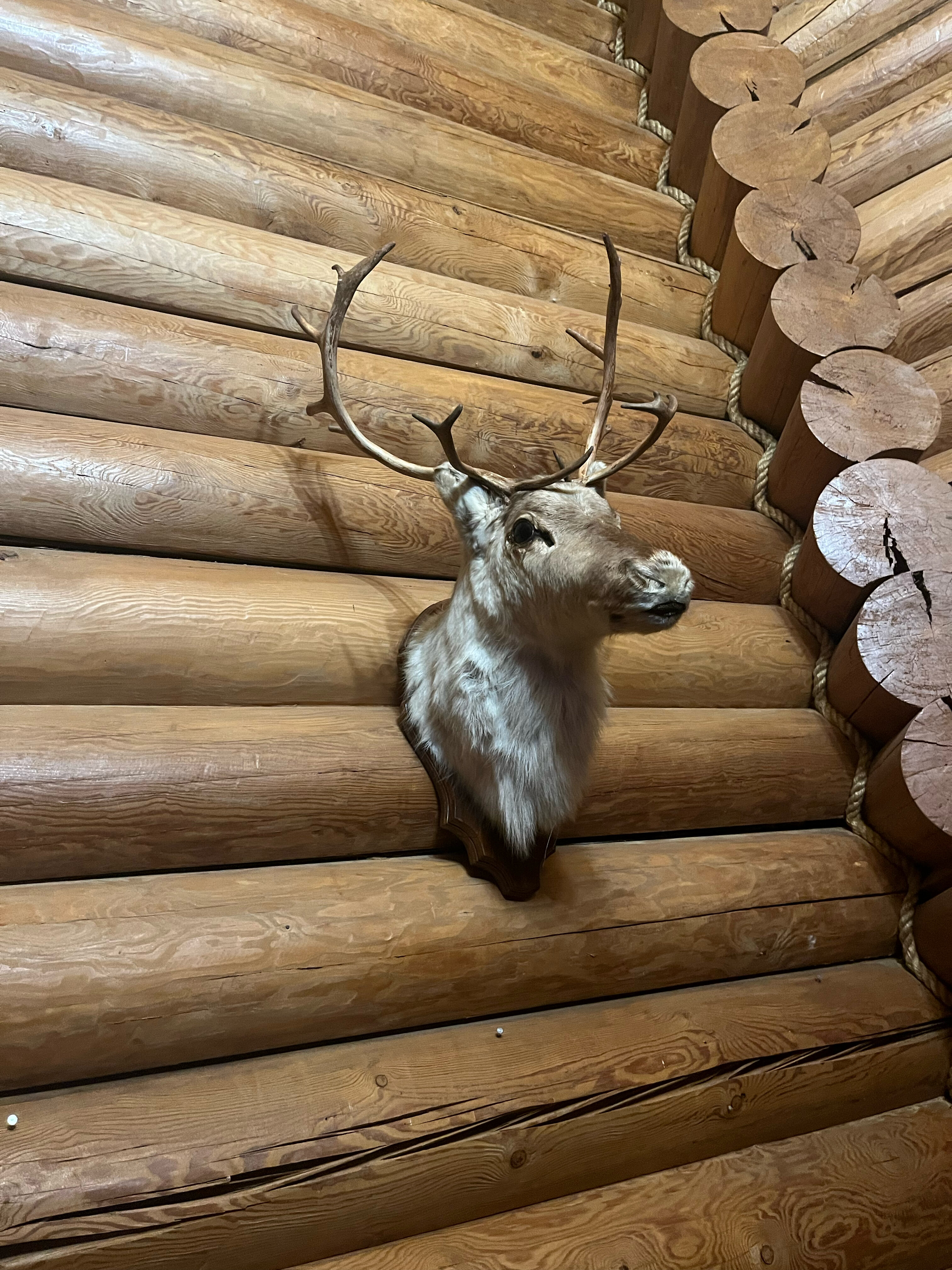 Фото Молоково