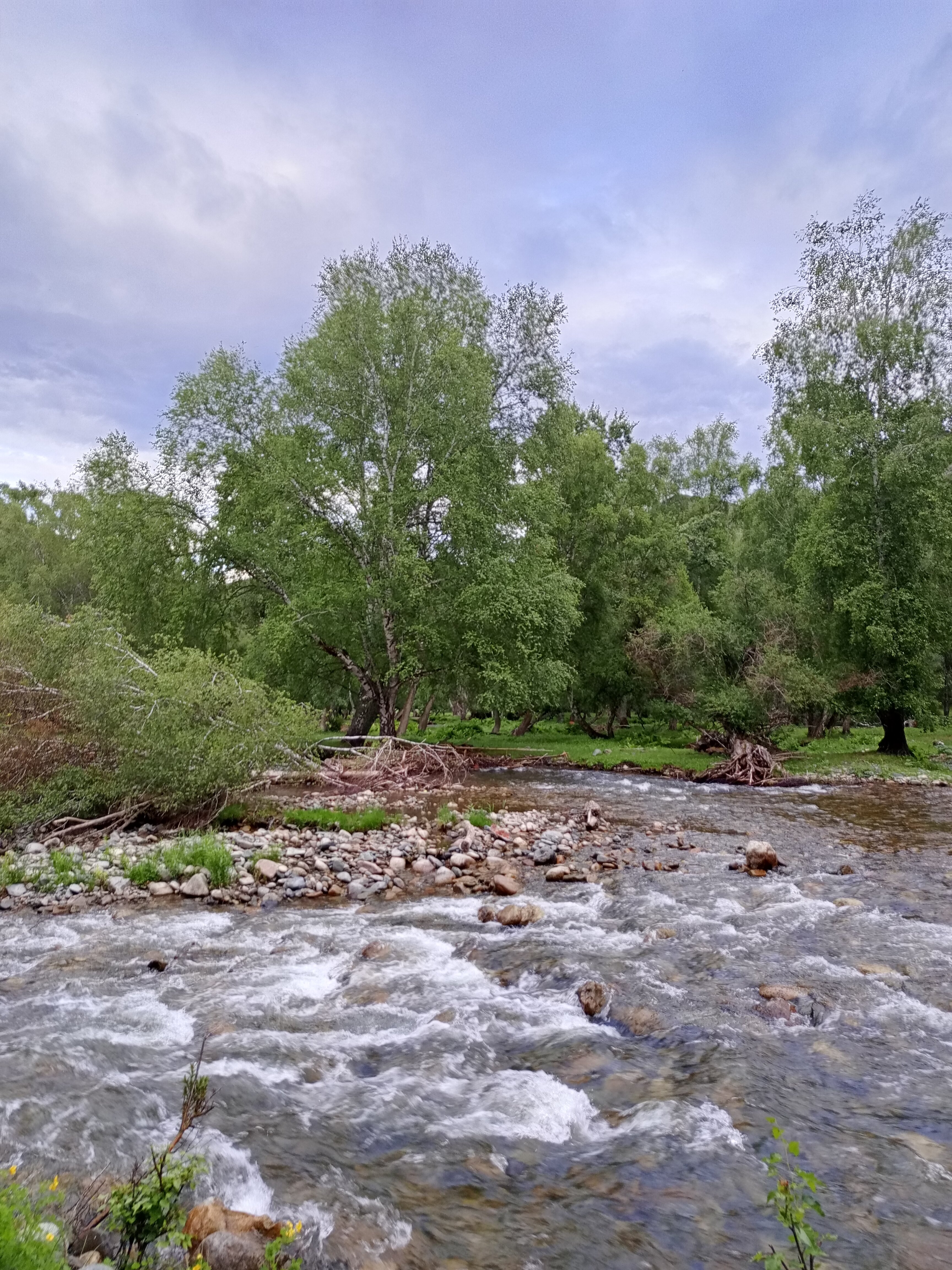 Фото Эркелей