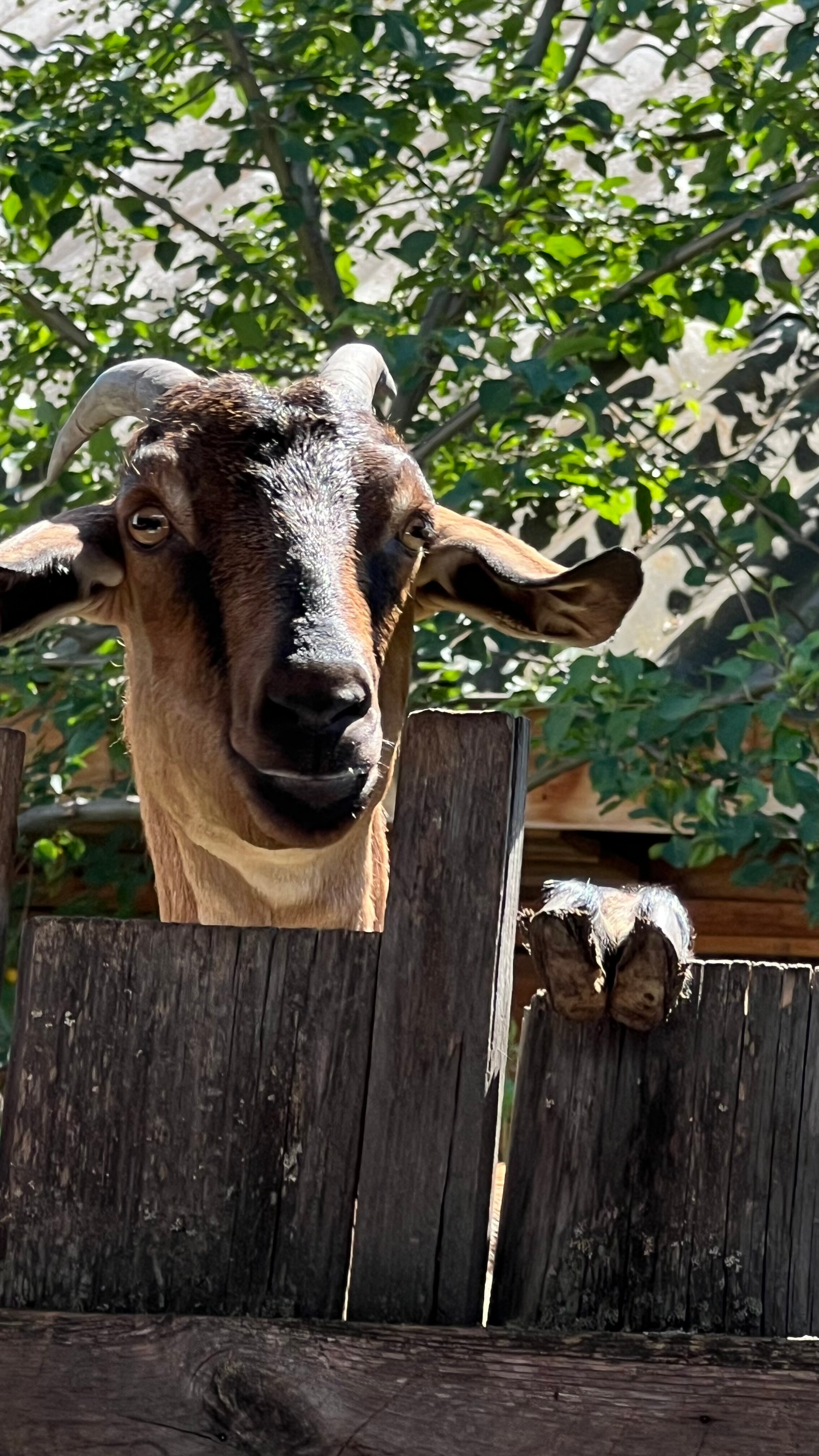 Фото Дыхание гор