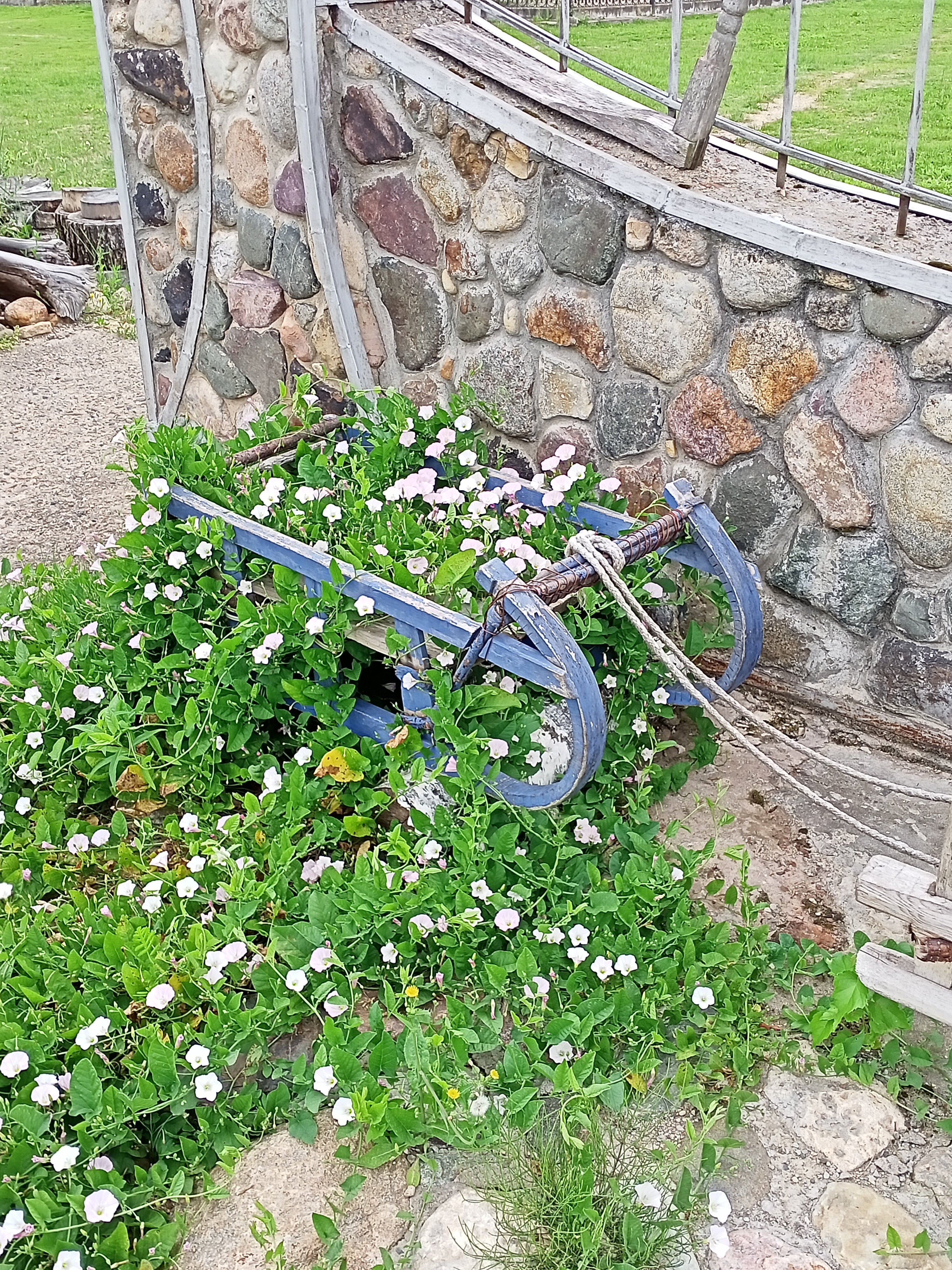 Фото Престиж