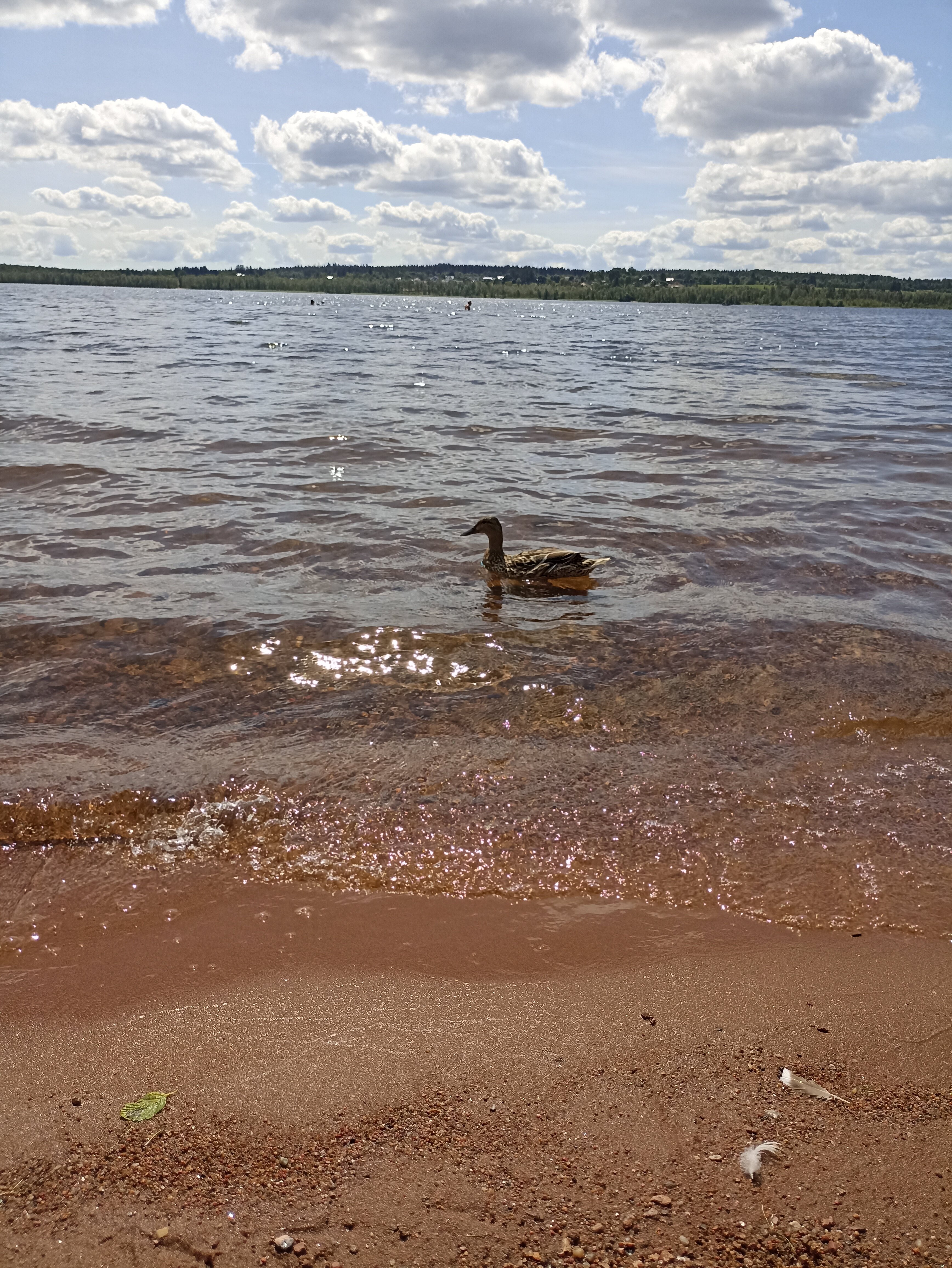 Фото Мичуринский дворик