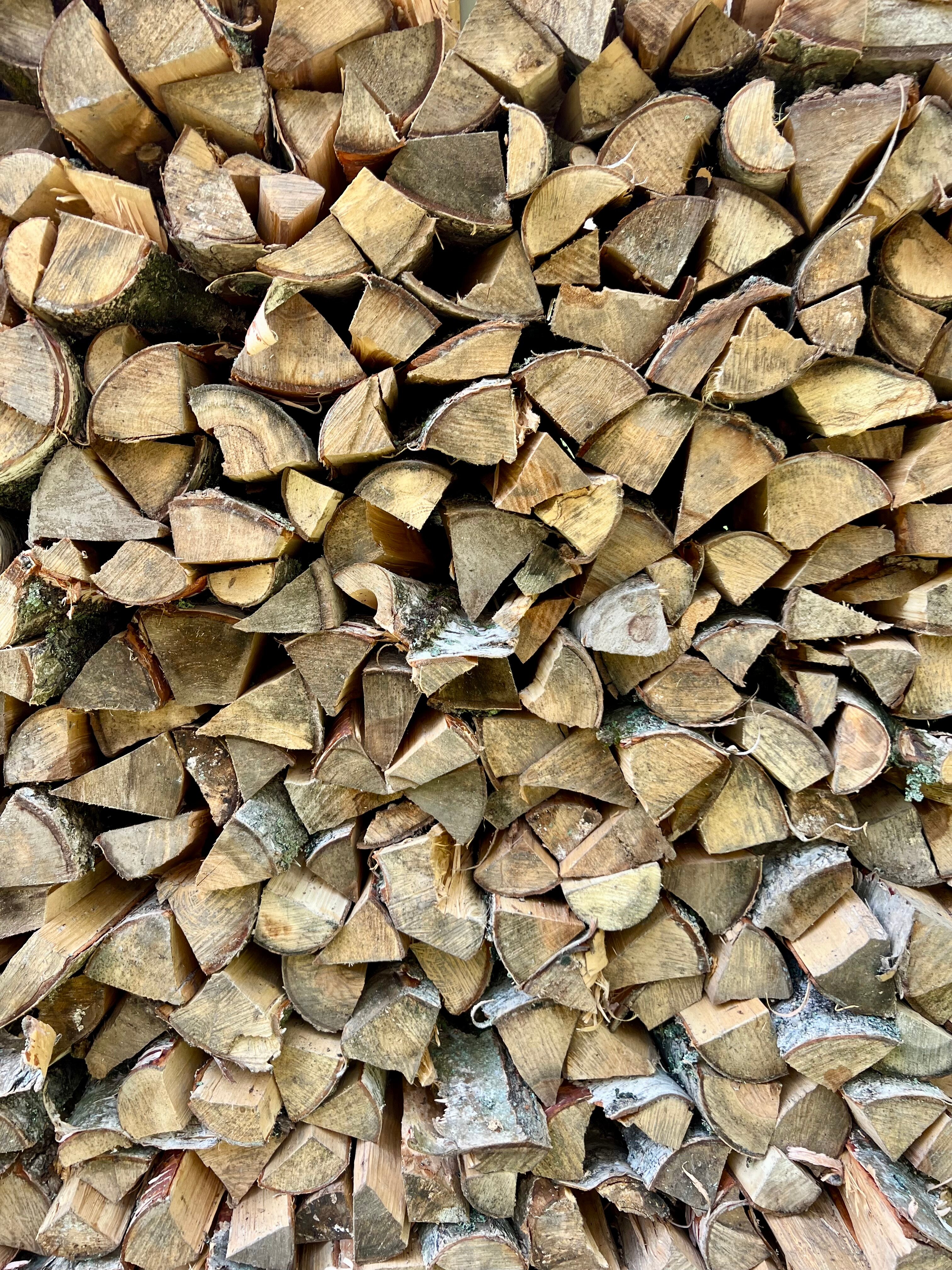 Фото Forest Glamp