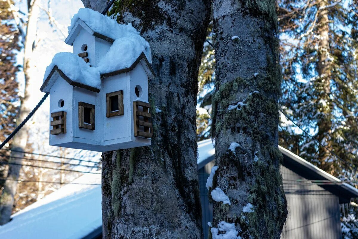 Фото Путник