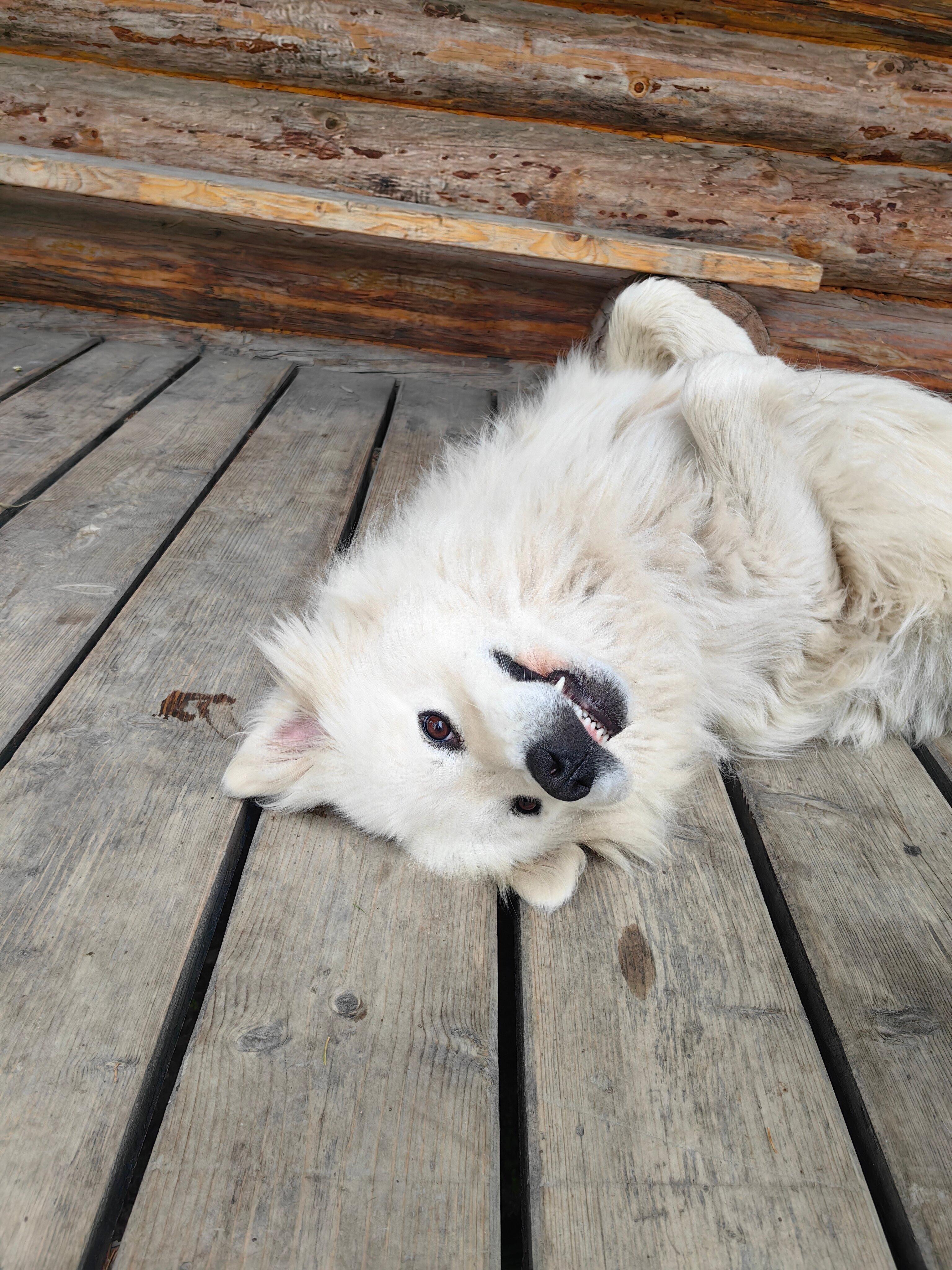 Фото Небесное озеро