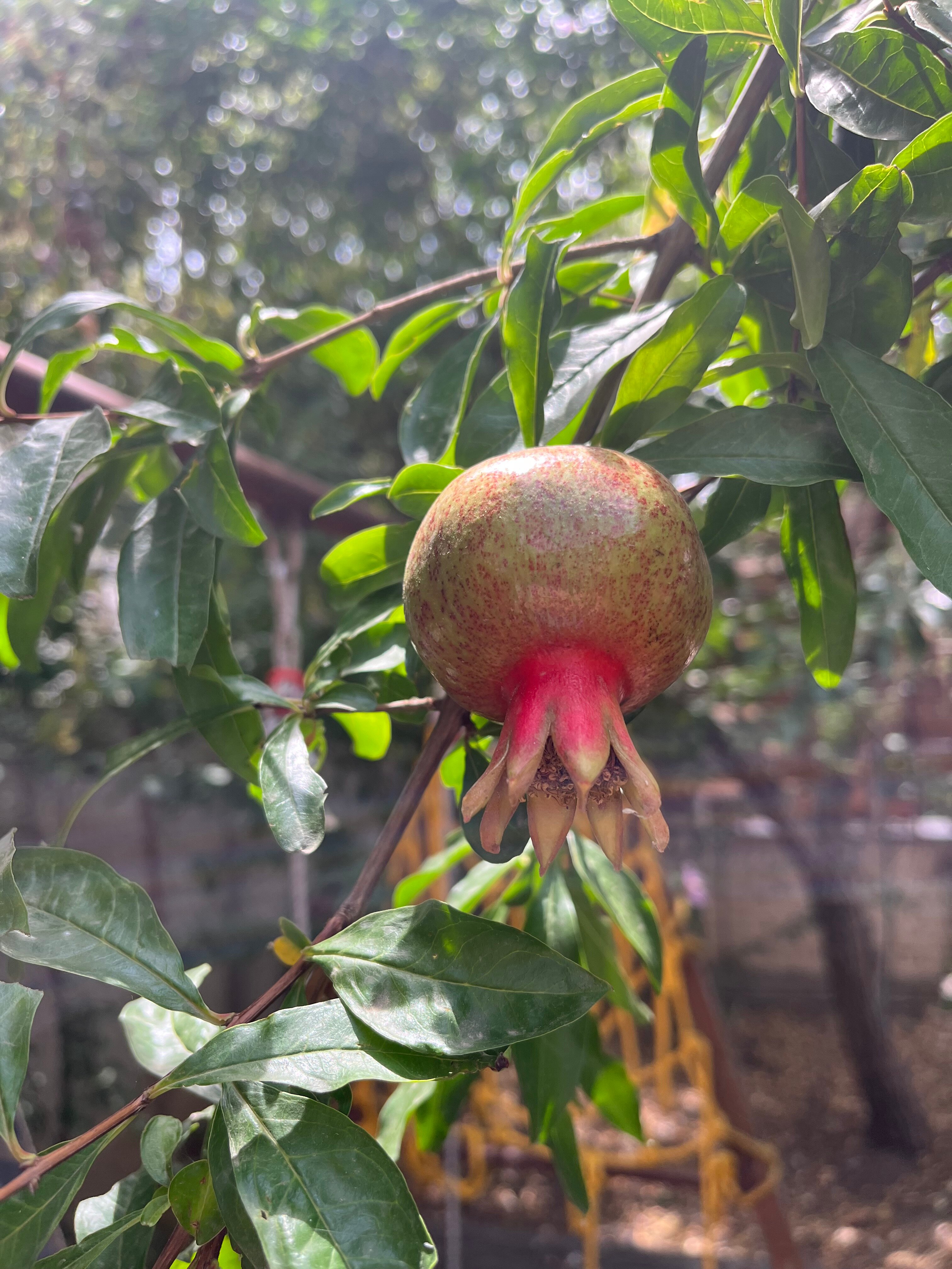 Фото Морские приключения