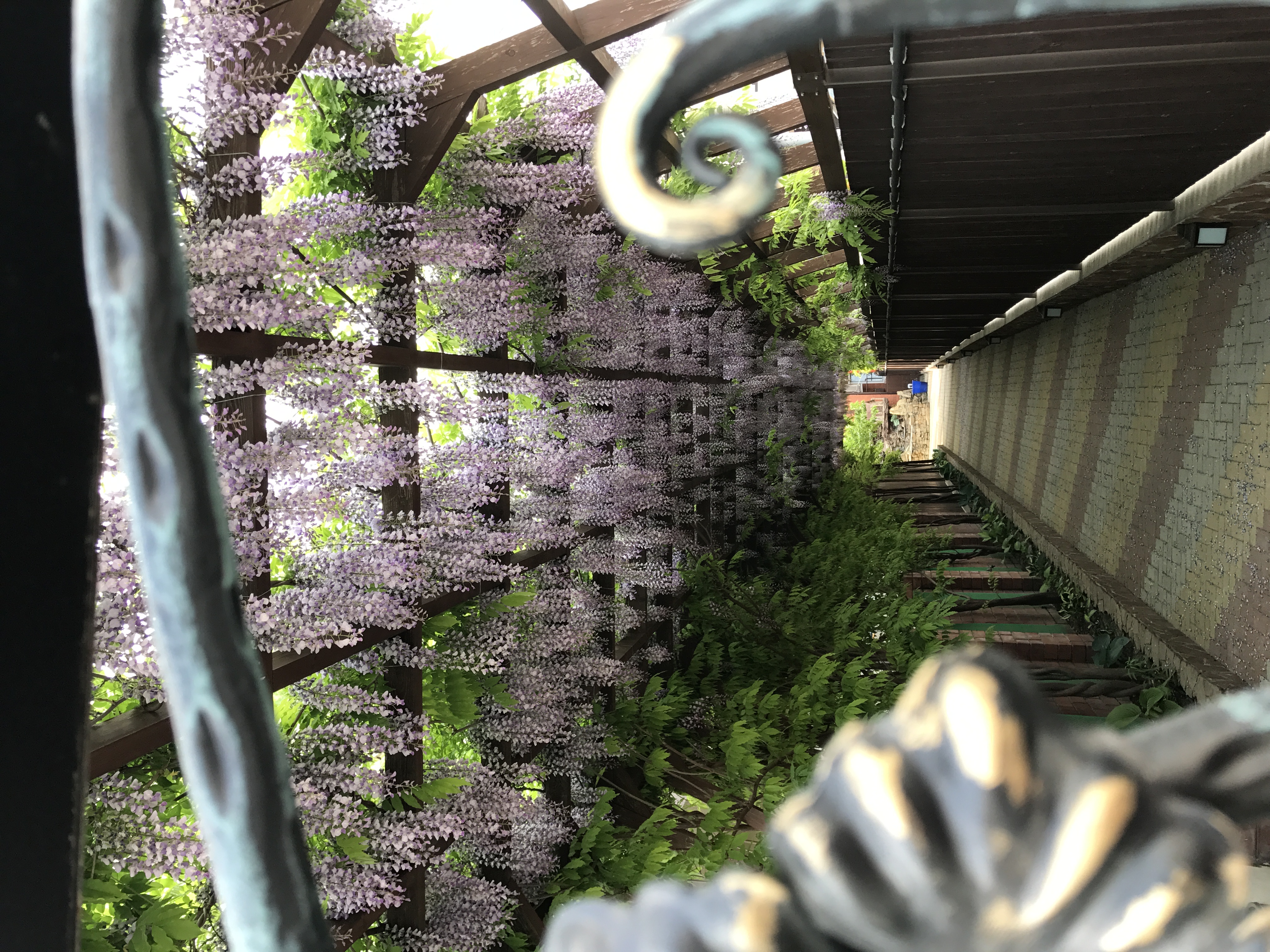 Фото Гелиос