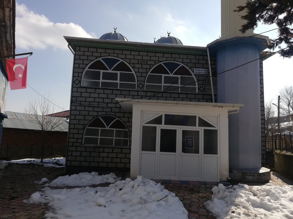 Mosque Gidirli Neighborhood New Mosque, Havza, photo
