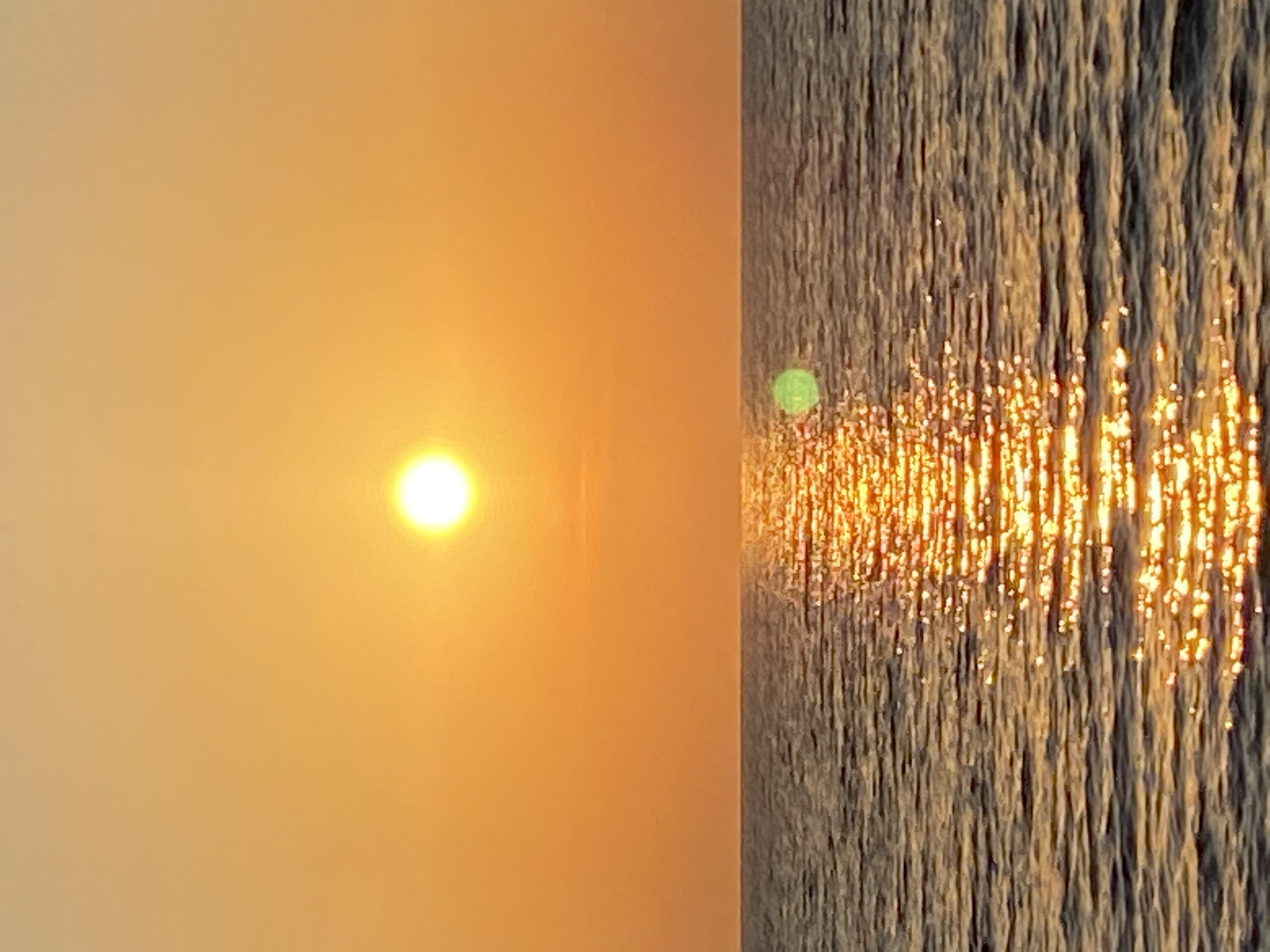 Фото Брауни